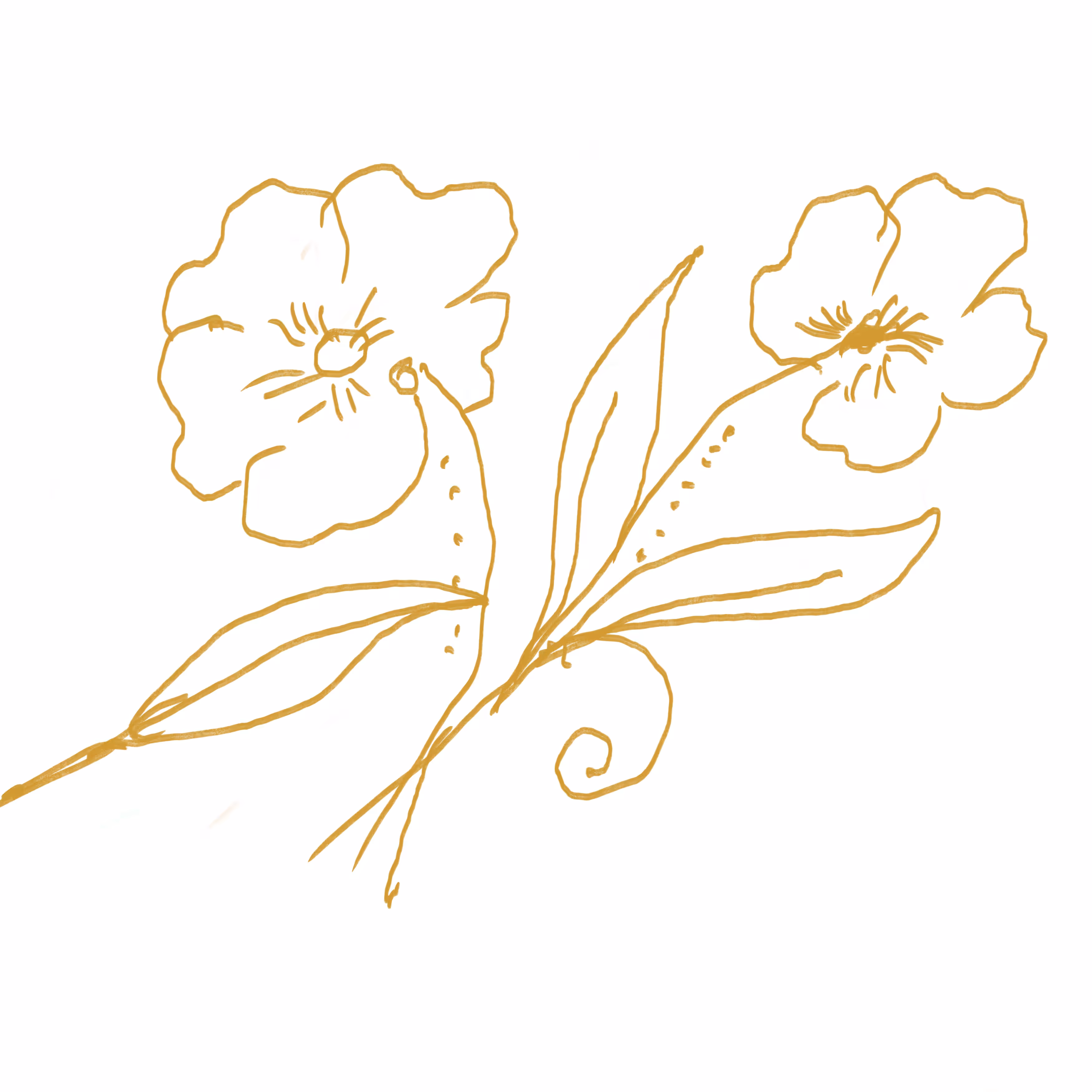 Autumn And Happiness