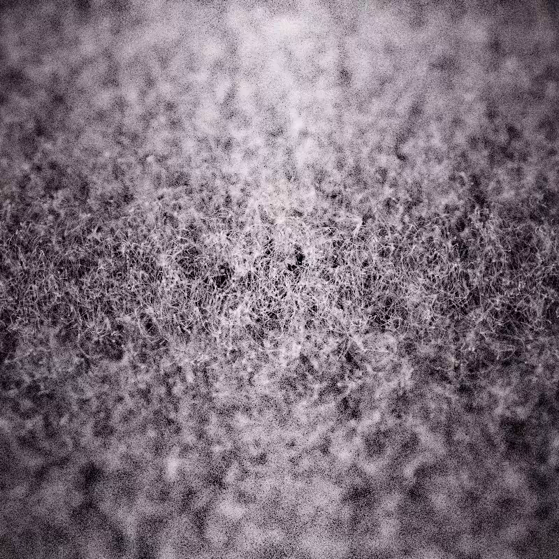 Field of noise #14