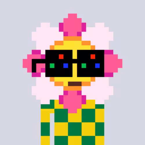 CURATED 013