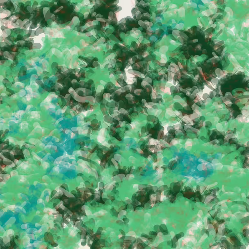 Petri 1500 #1382