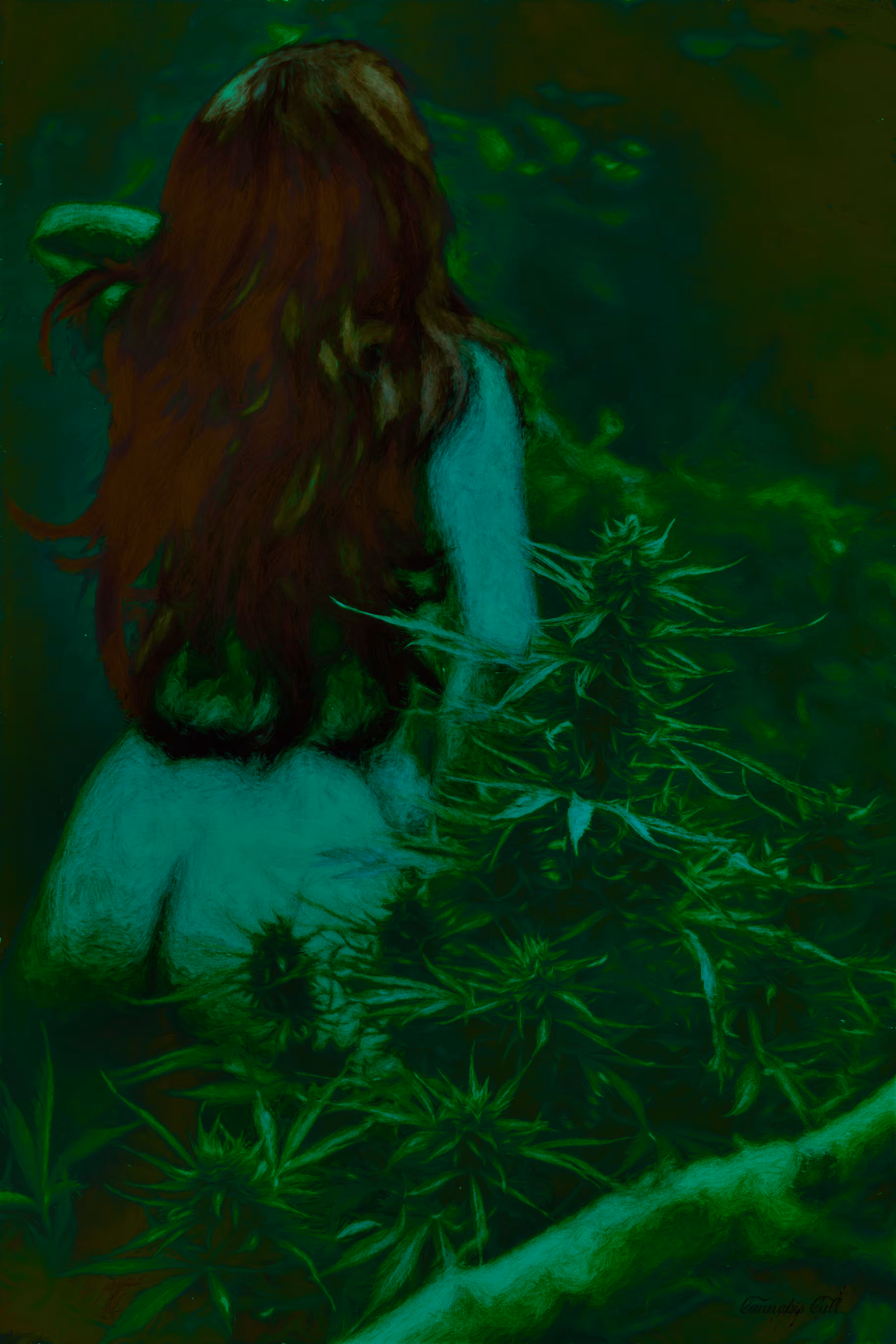 hemp fairy in the mist of dreams