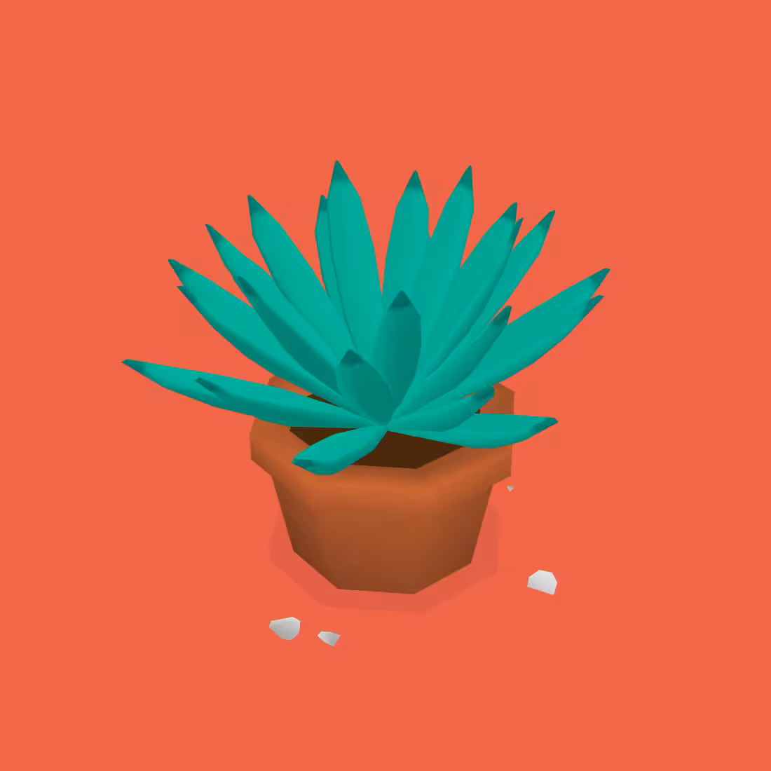 SUKULENTS #8