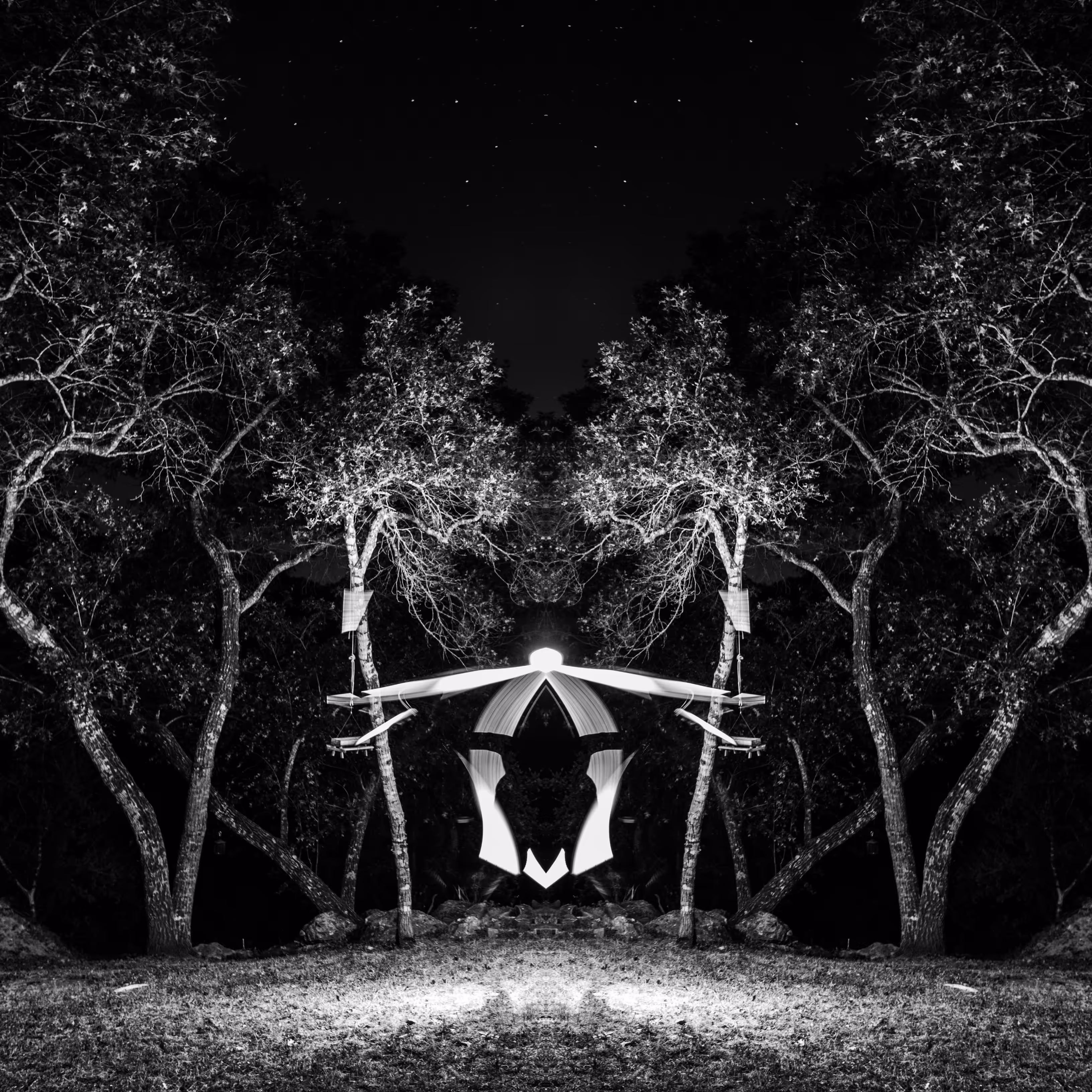 Firefly