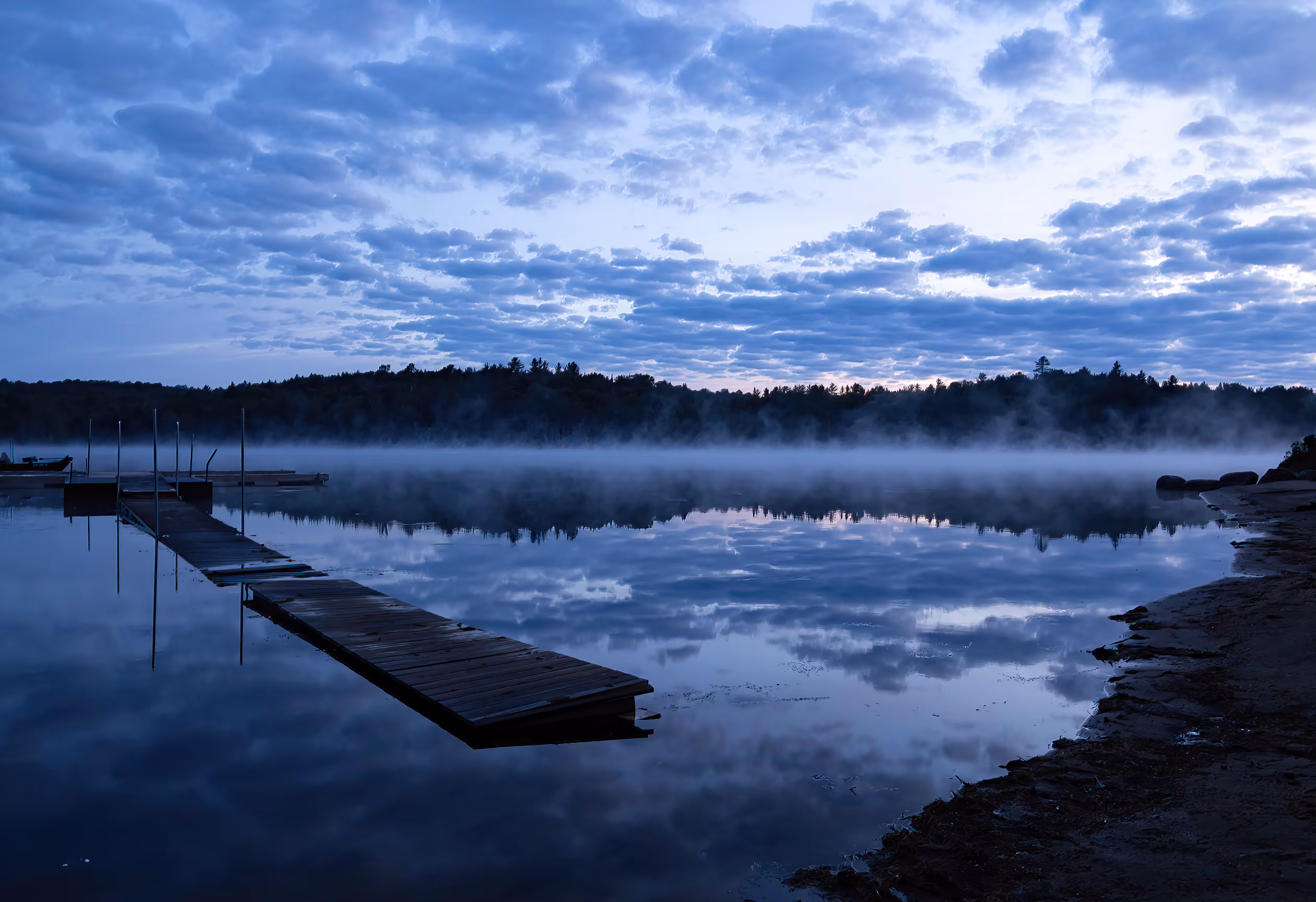Summer Morning