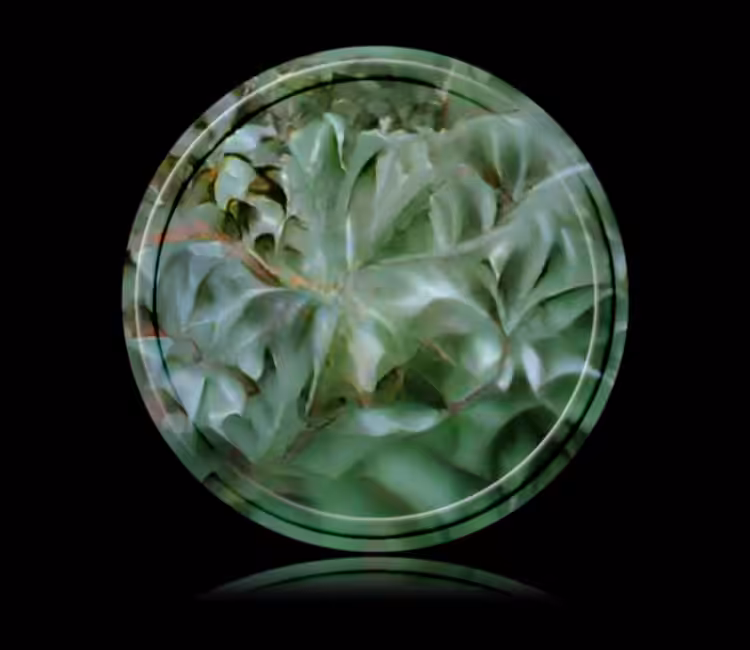 Return to the Undergrowth