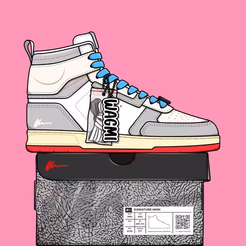 Signature Sneakers Highs #91