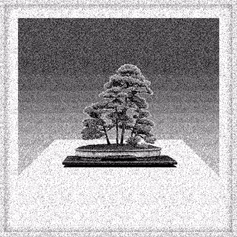 Bonsai Bonanza #726