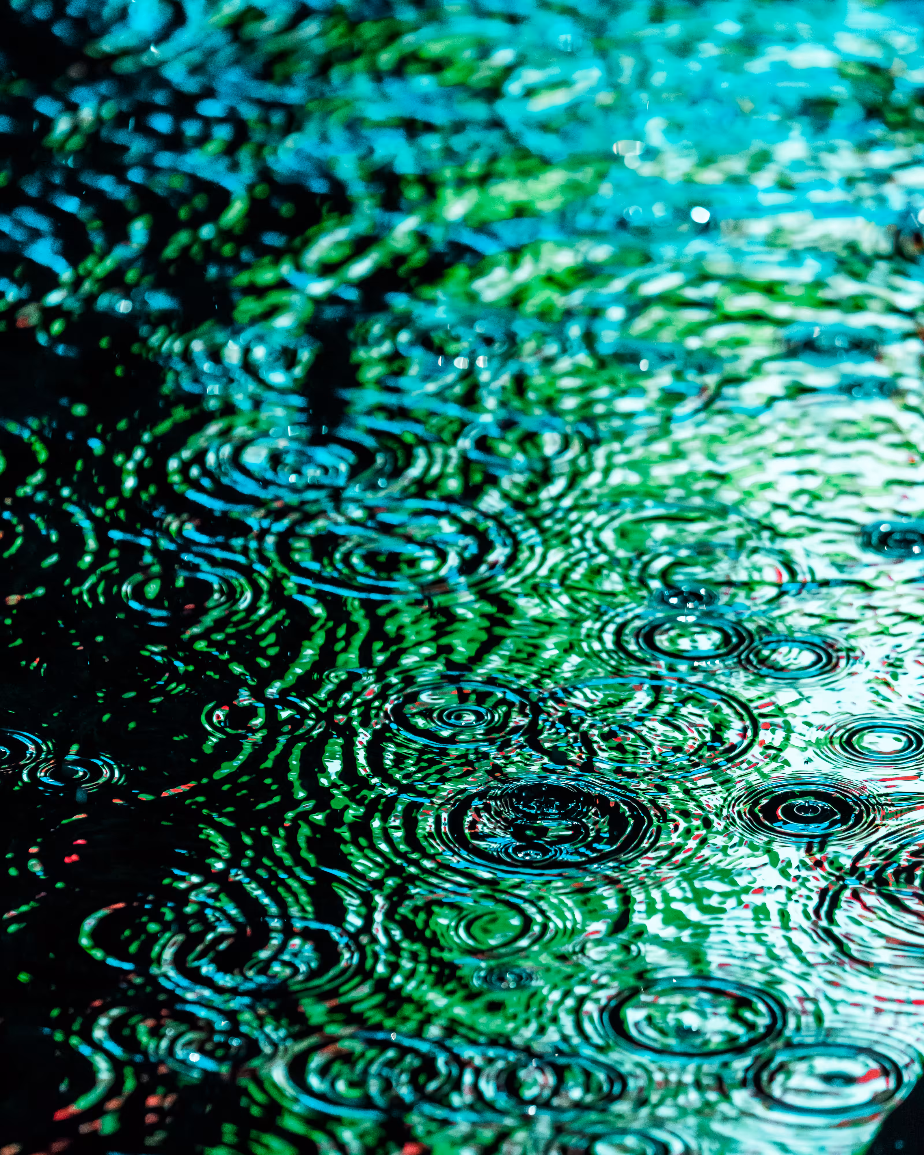 DRIP DROP: DRIP #509