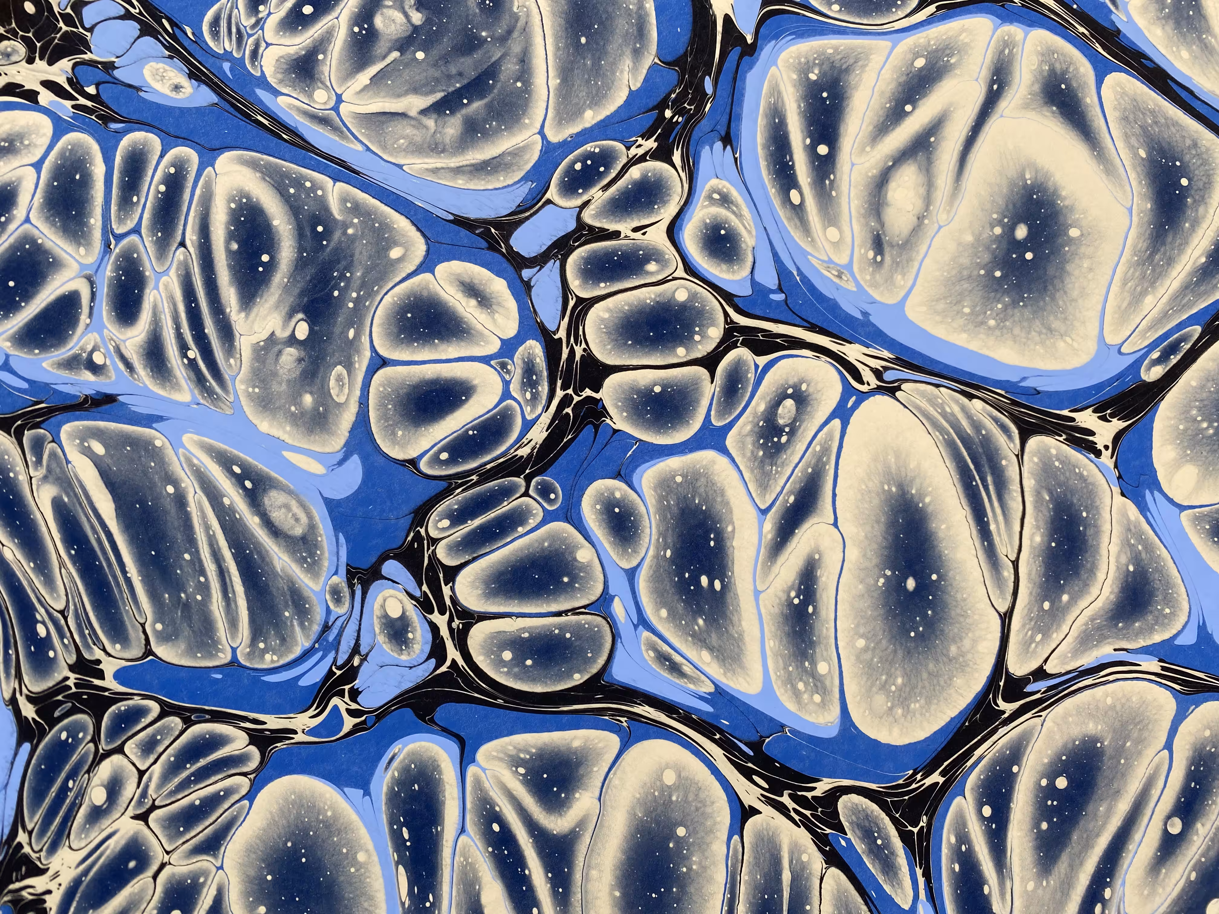 Battal Ebrû / Marbling Art SE #21