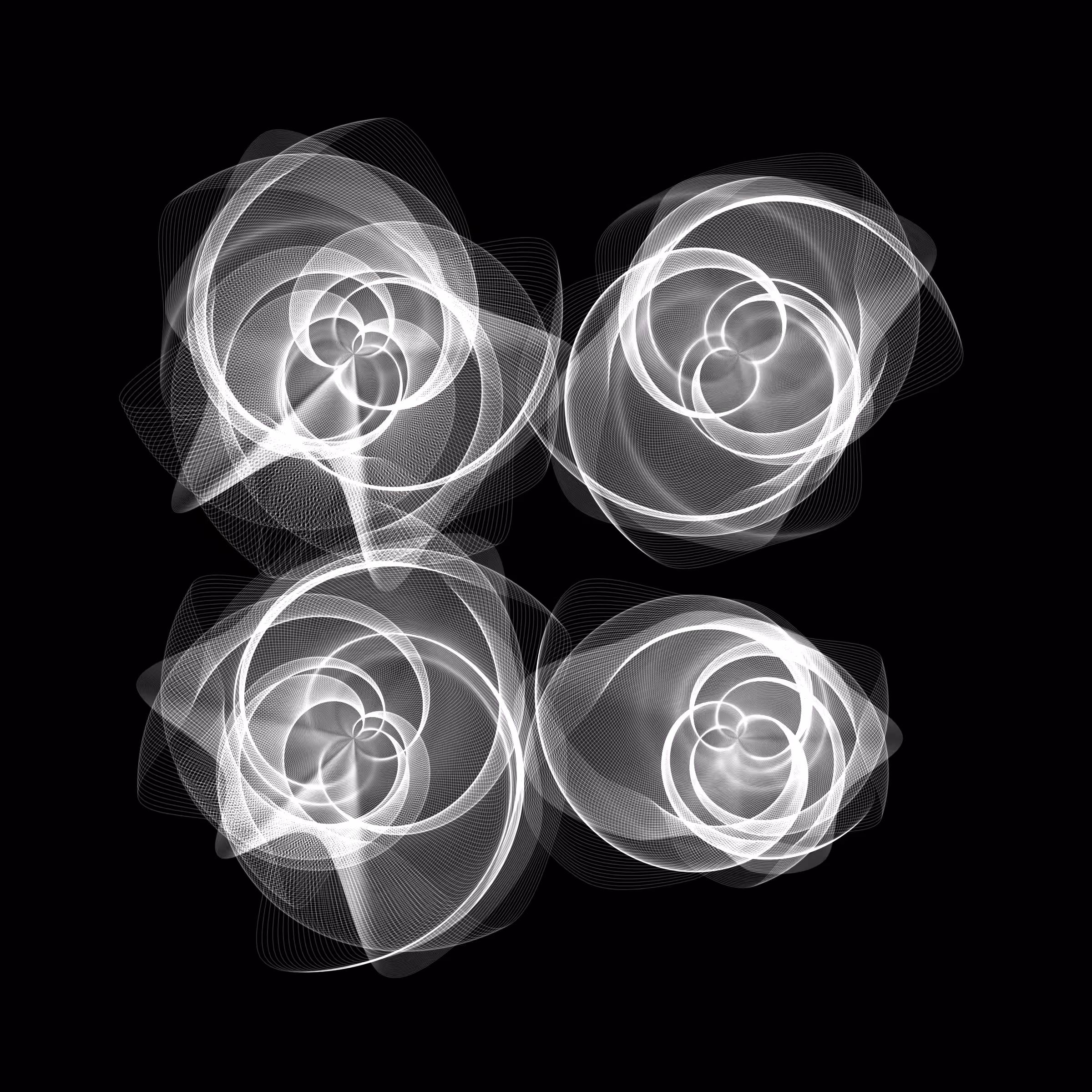 Flowers #2562