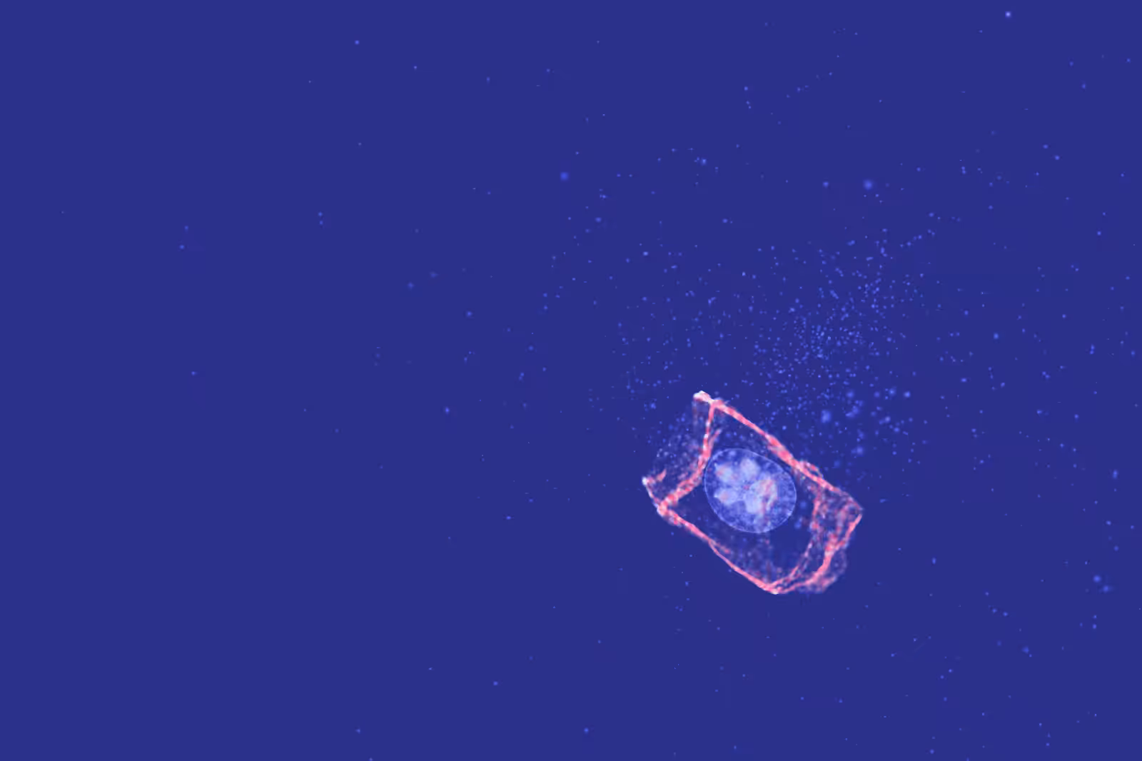 Turtle Vision #141