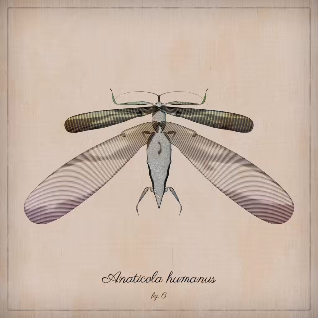 ProcGen Entomology #272