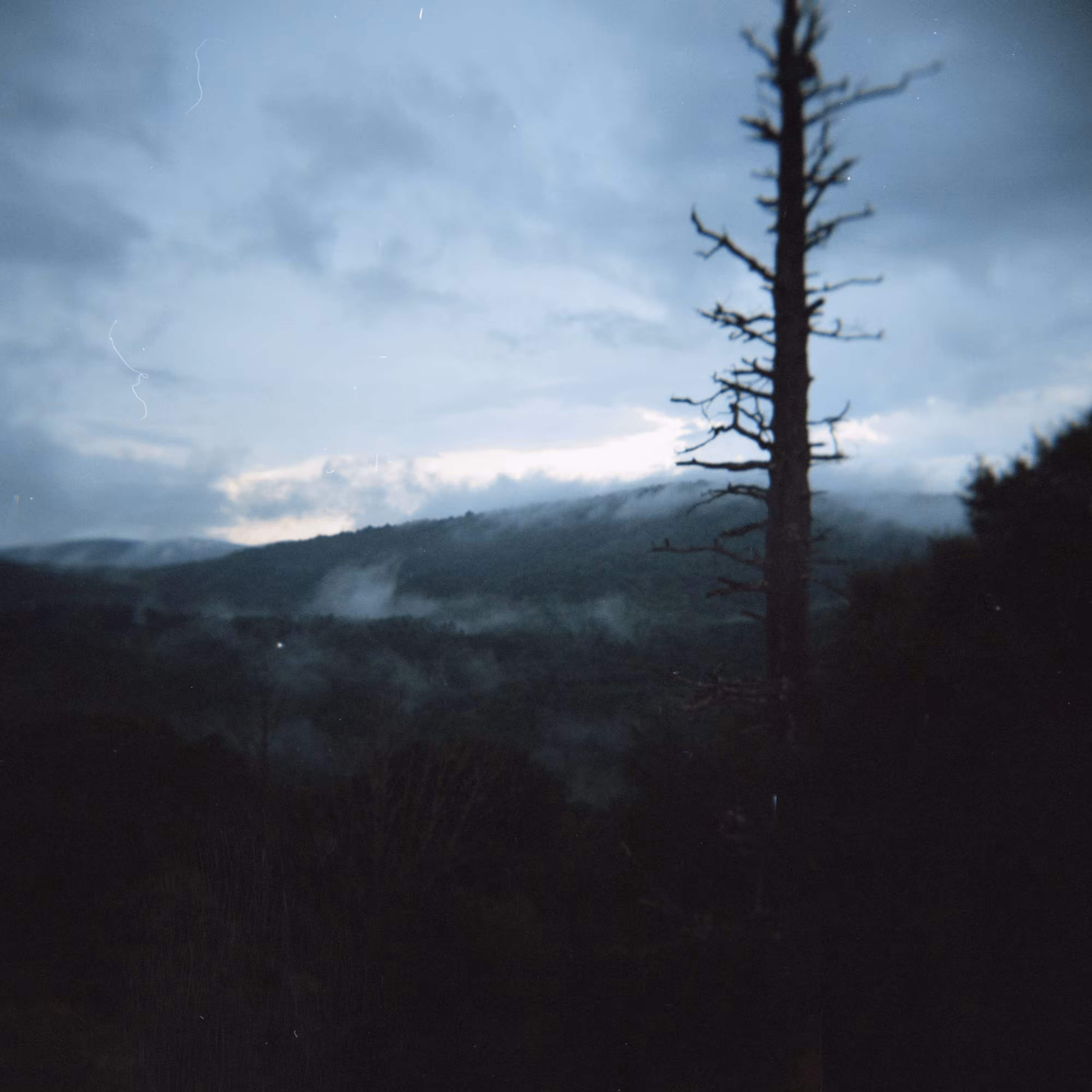 Shot on Holga #20: Losing Light 