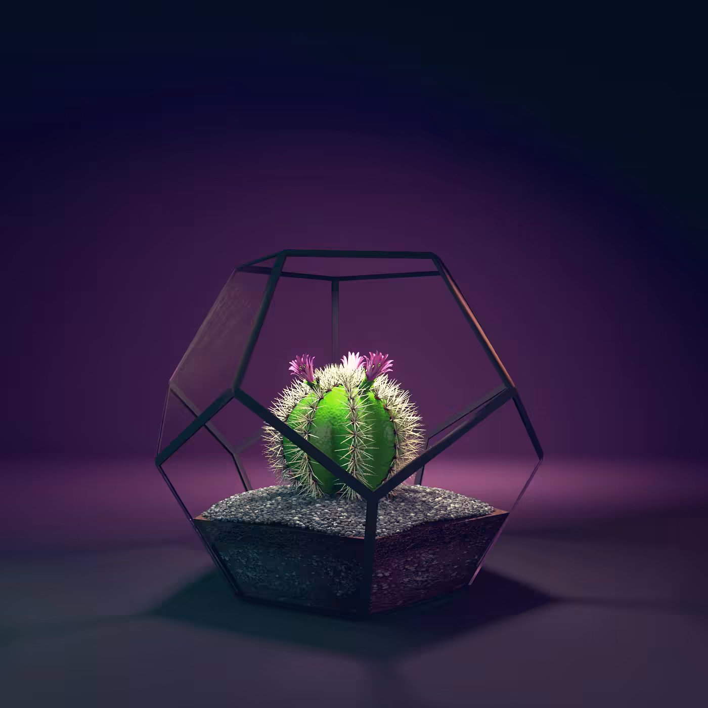 Terrarium #04