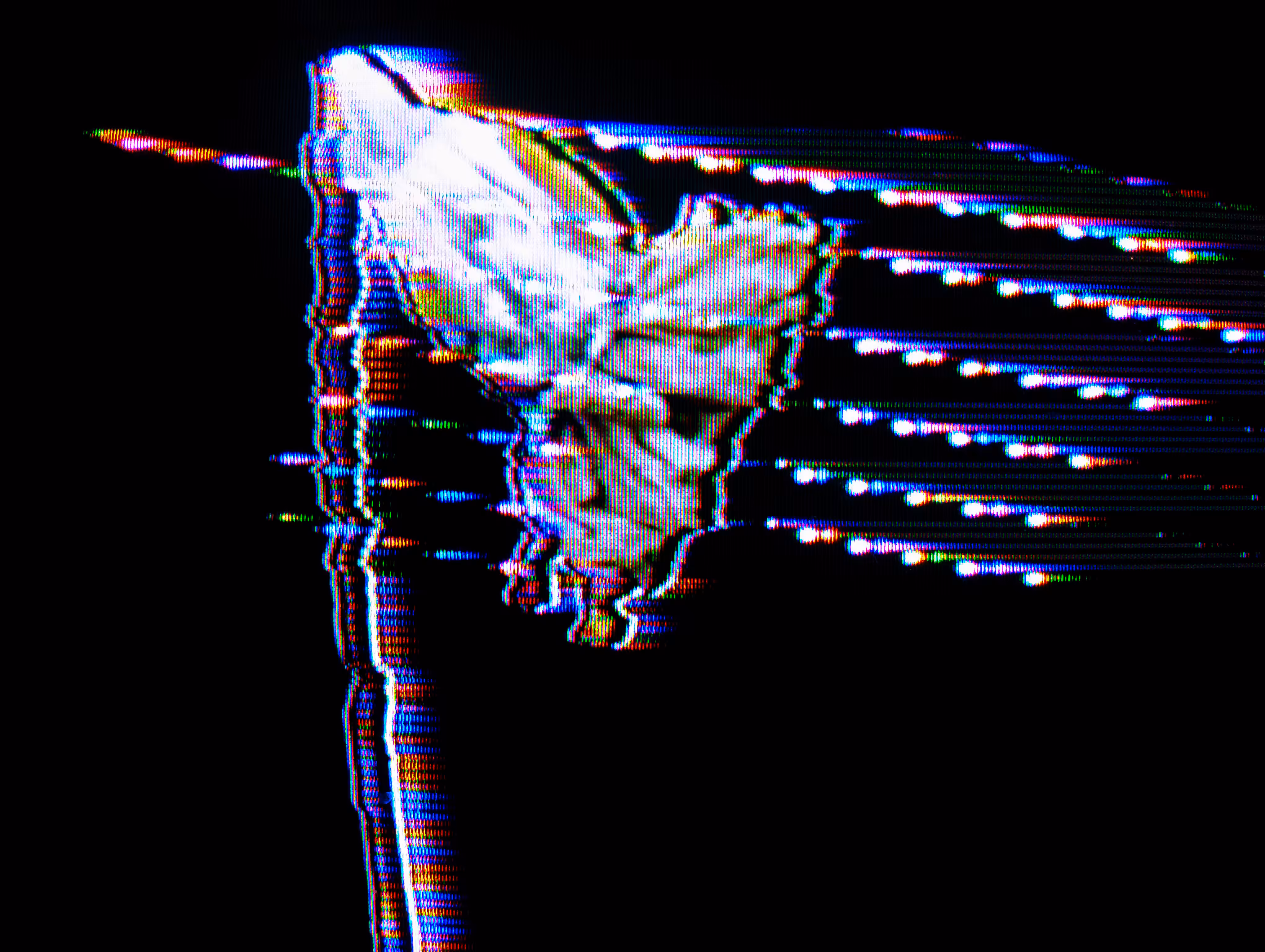 Sleepy flower