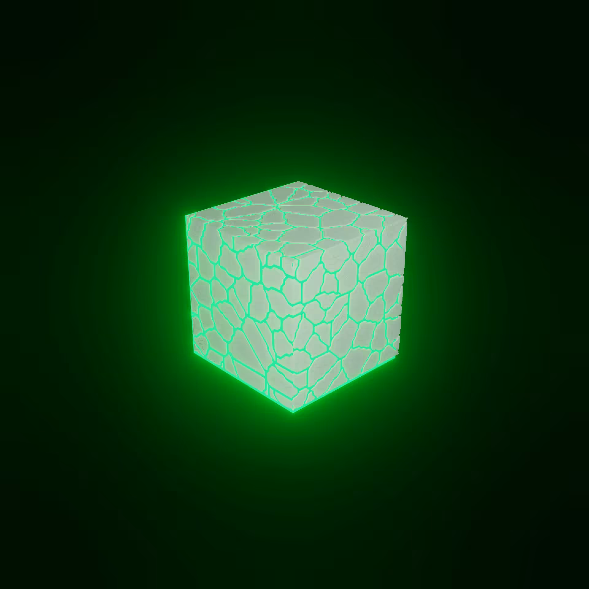019
