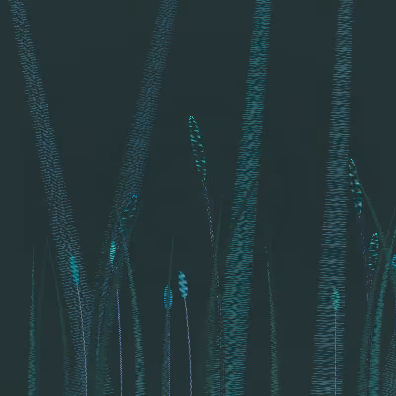 ZigZag Garden #22