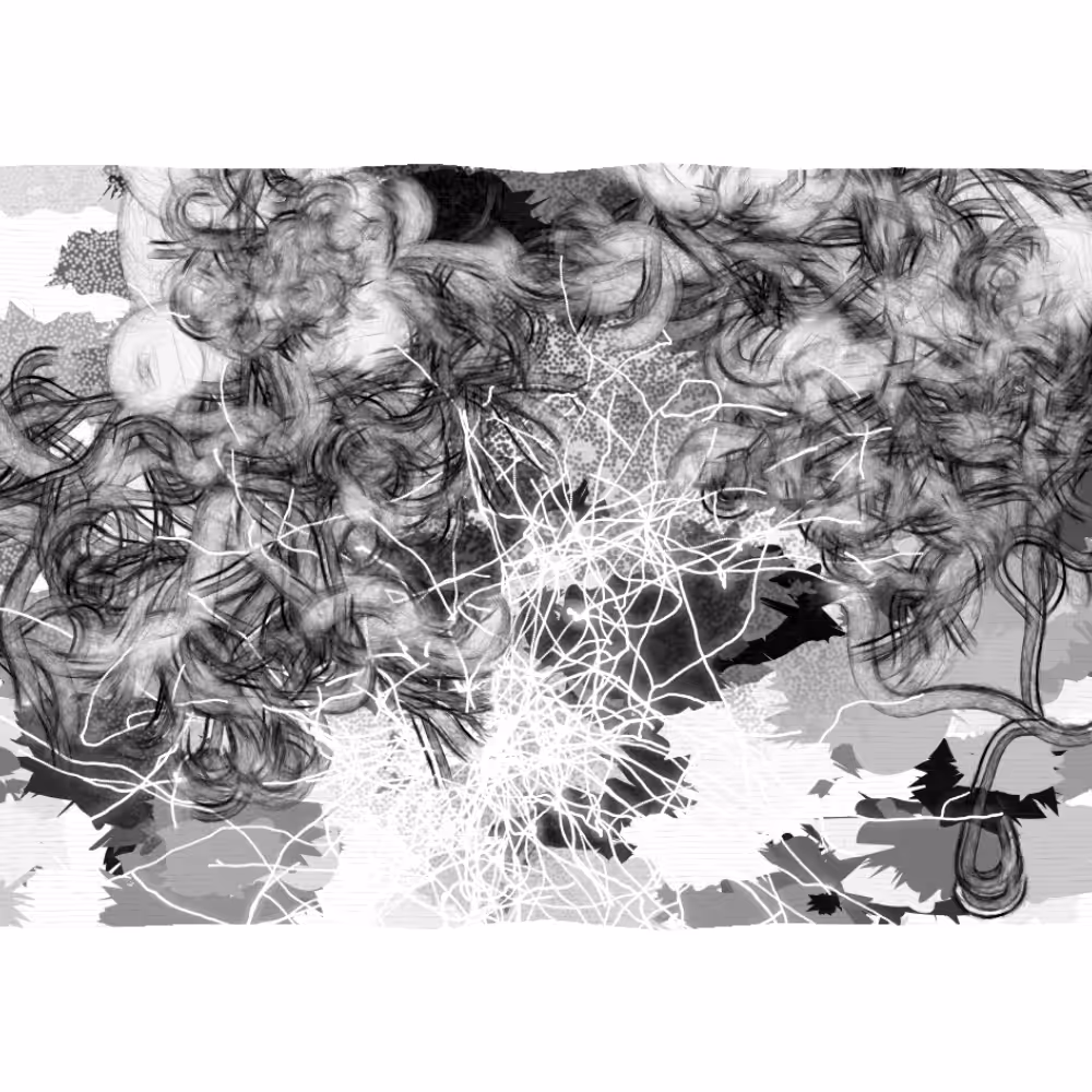 Bravata #16