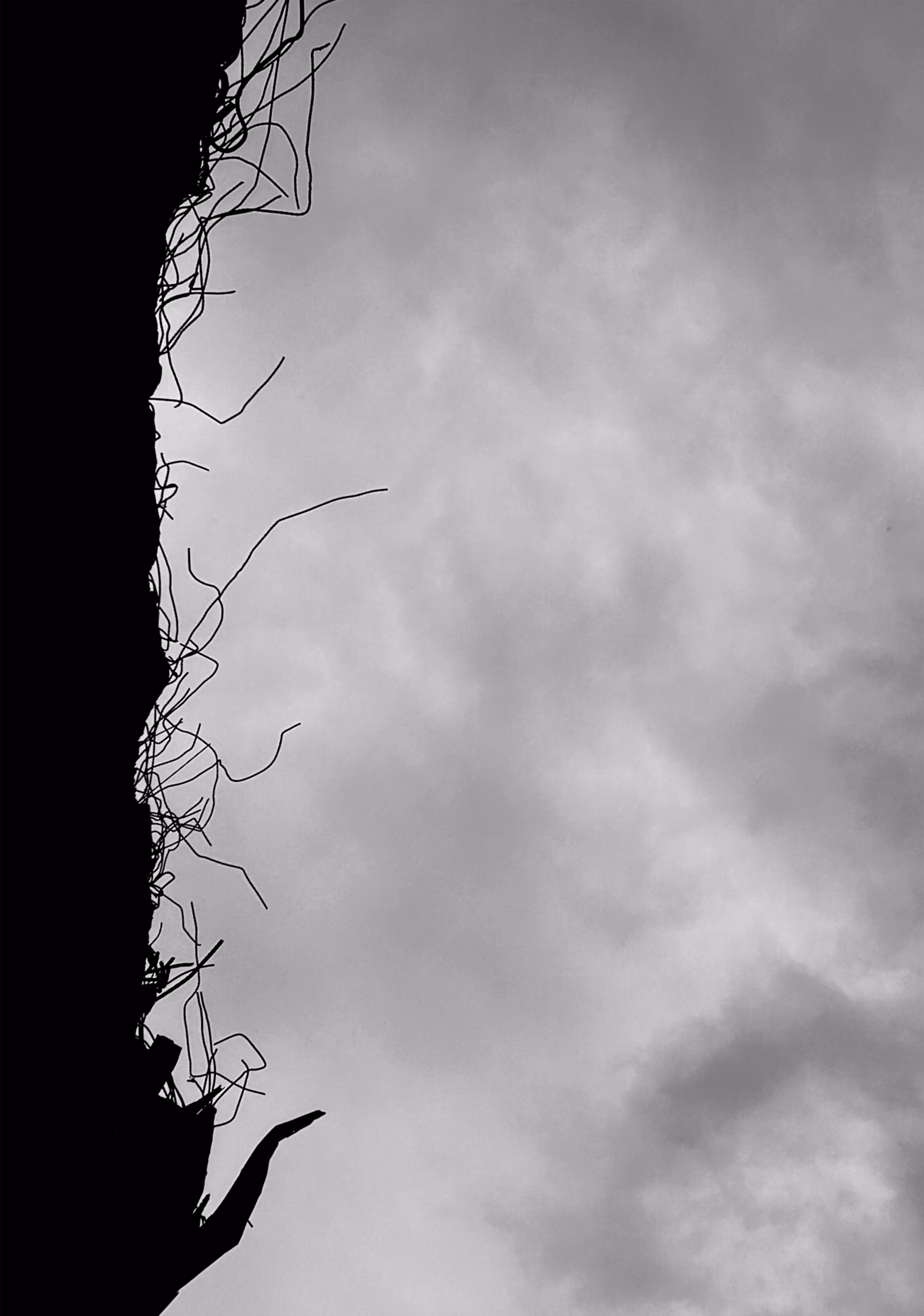 Photograph 13