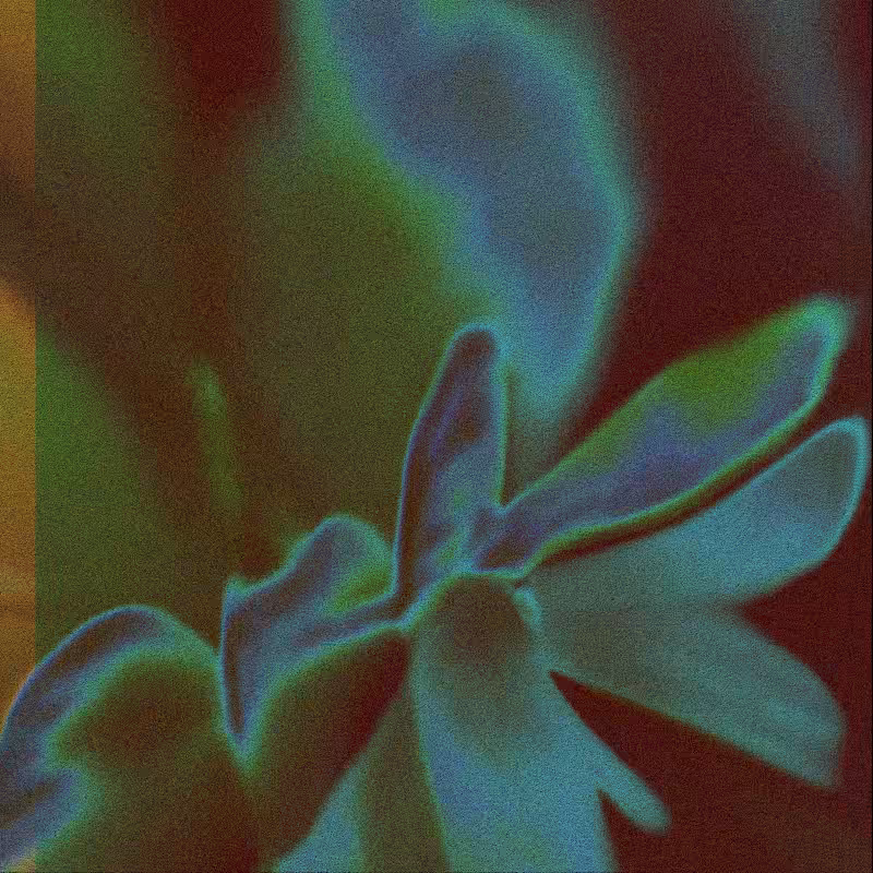 CLDCSMC #146