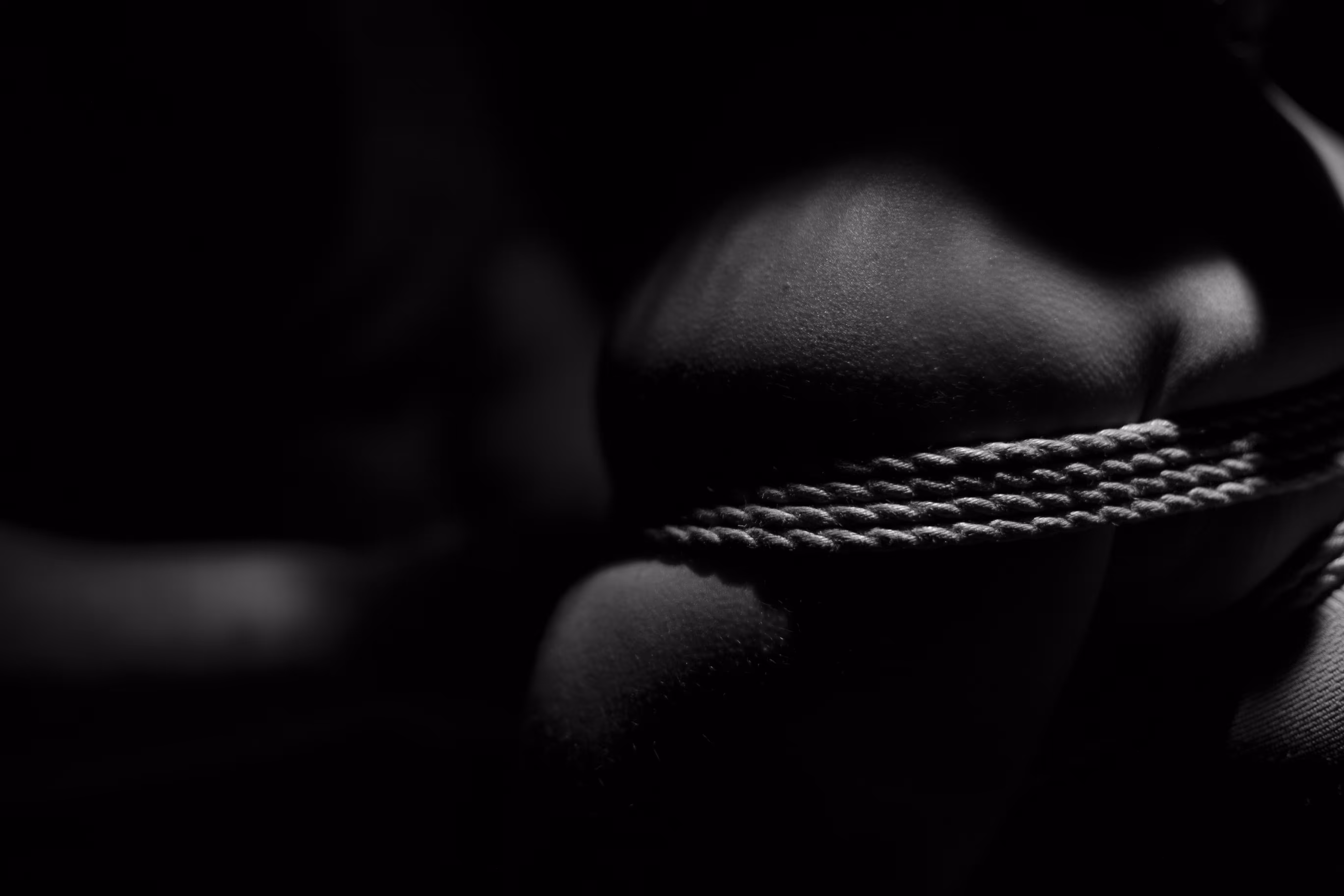 Skin & Ropes #1