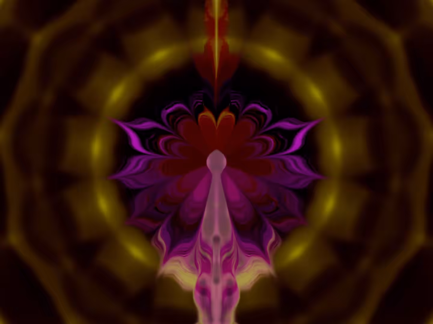 Lotus Lucidity