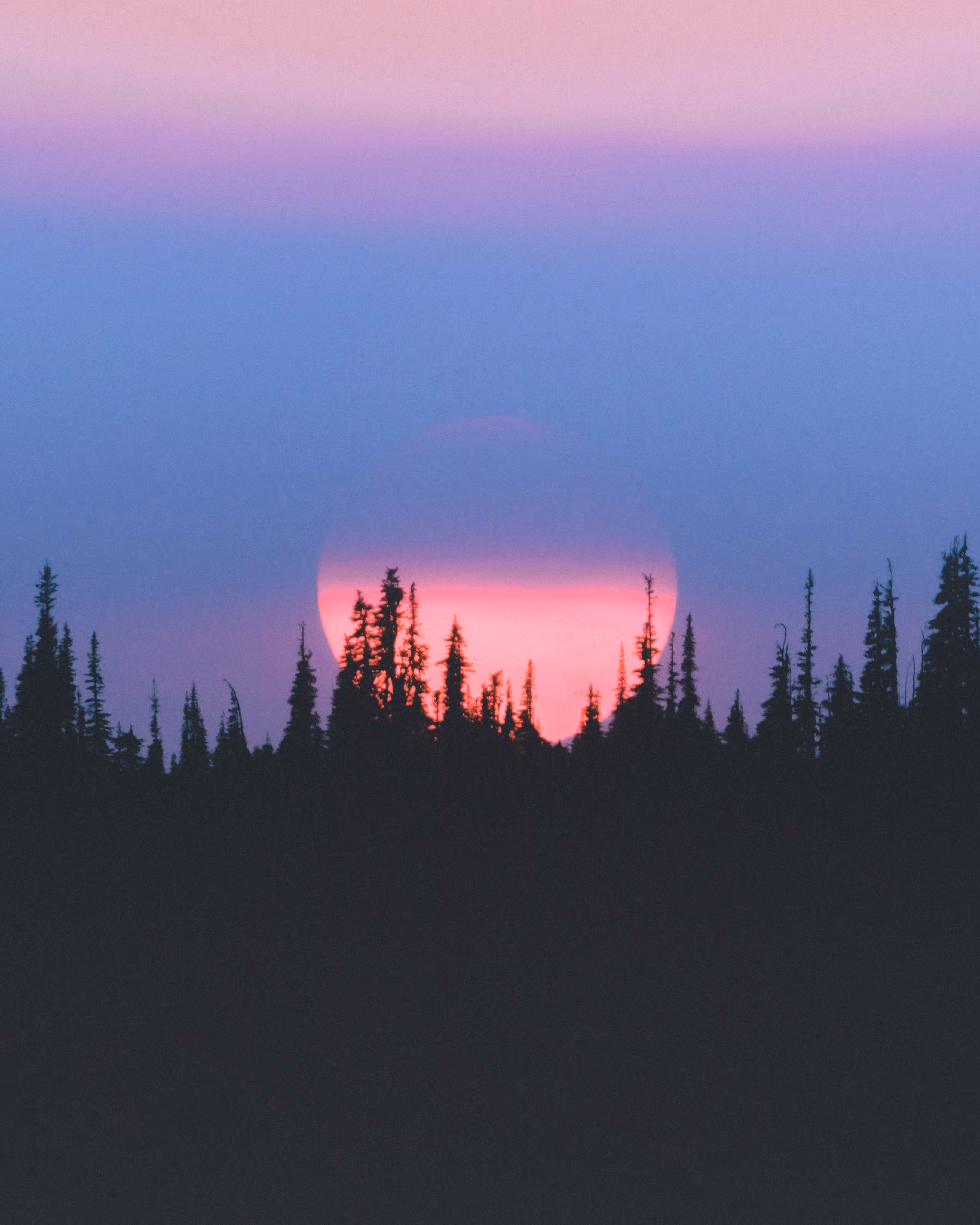 Steady Sun 