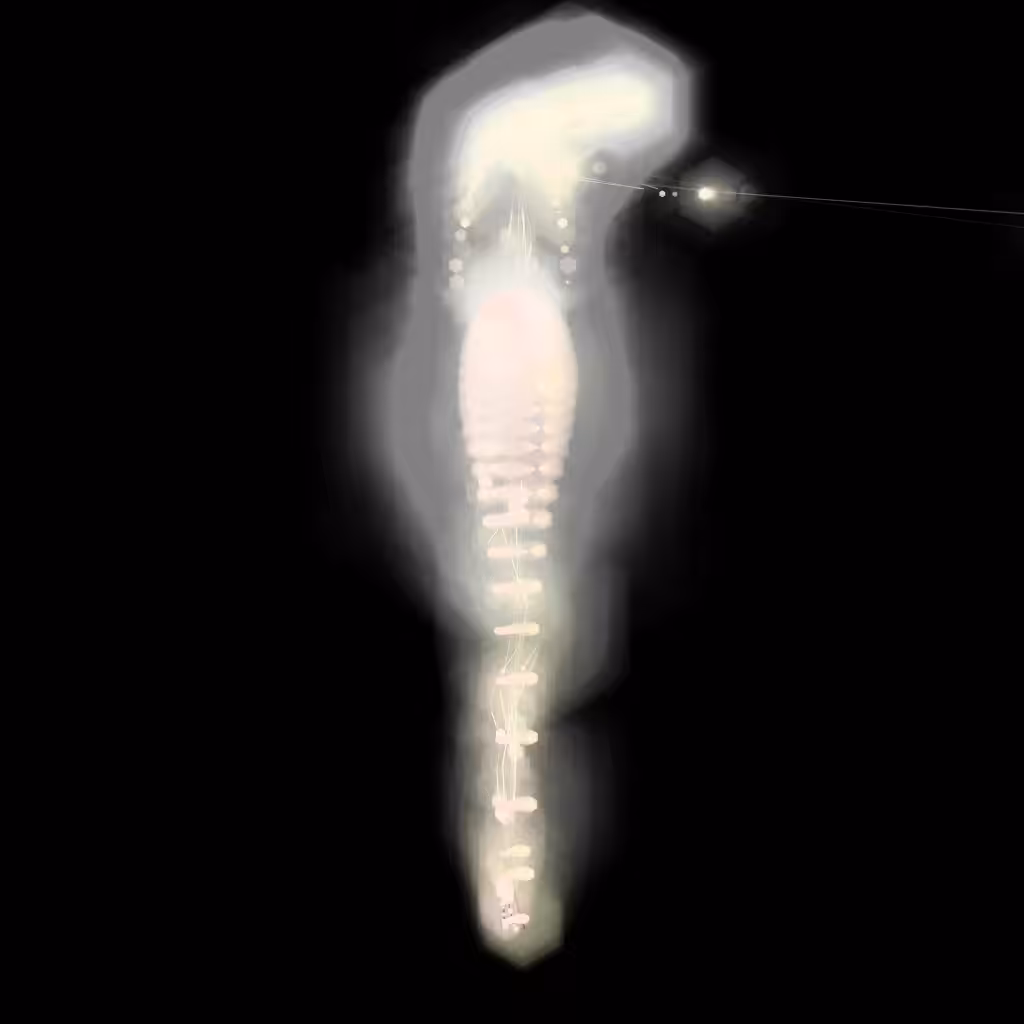 Spectral Being 653