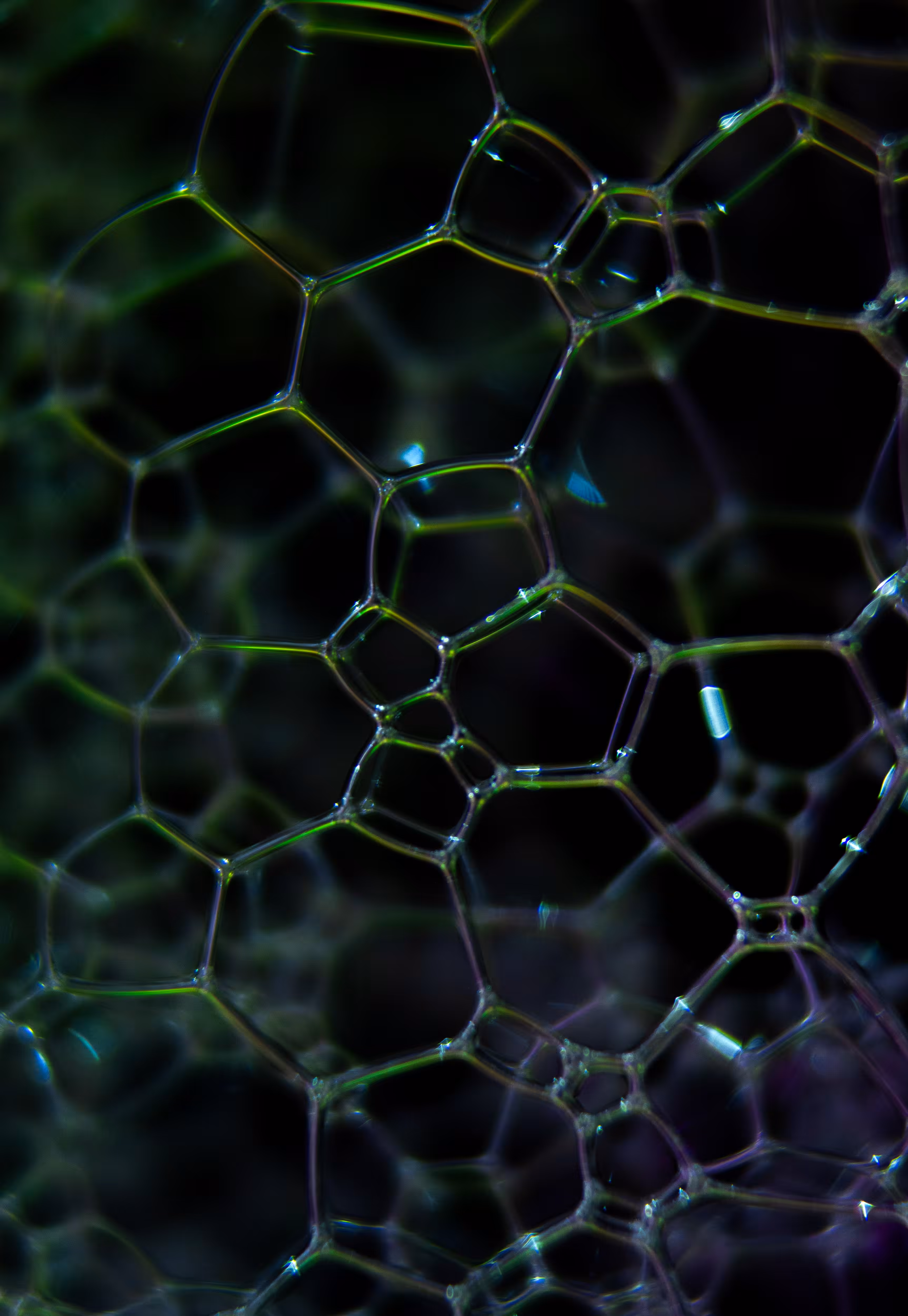 Abstract World of Soap Bubbles: #66 Bubbles