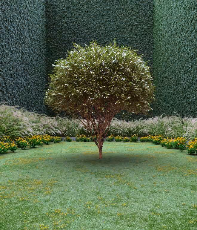 Garden of Imagination #76