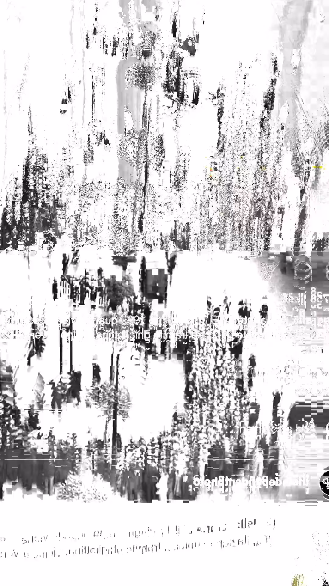 Untitled 15.8