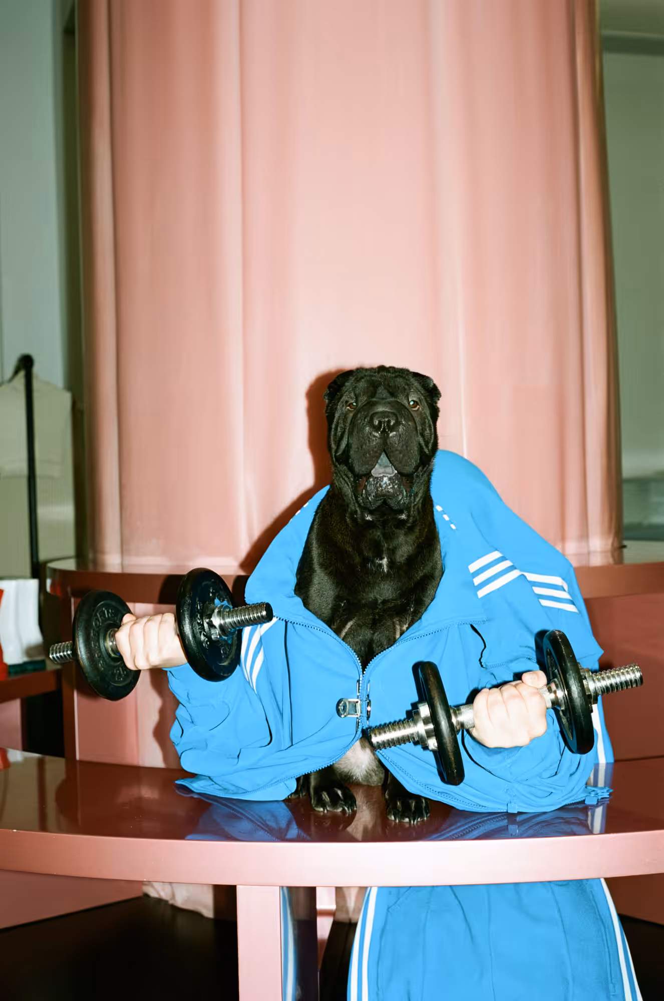 Doggystyle, #13