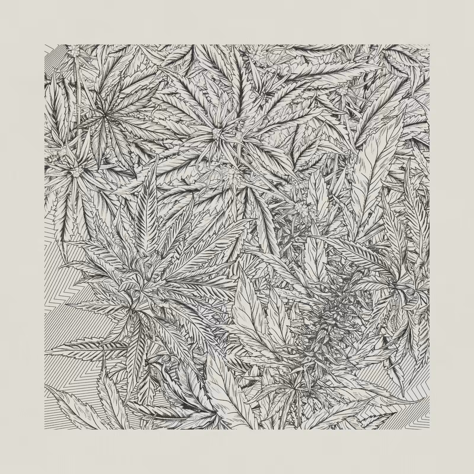 zancannabis #347
