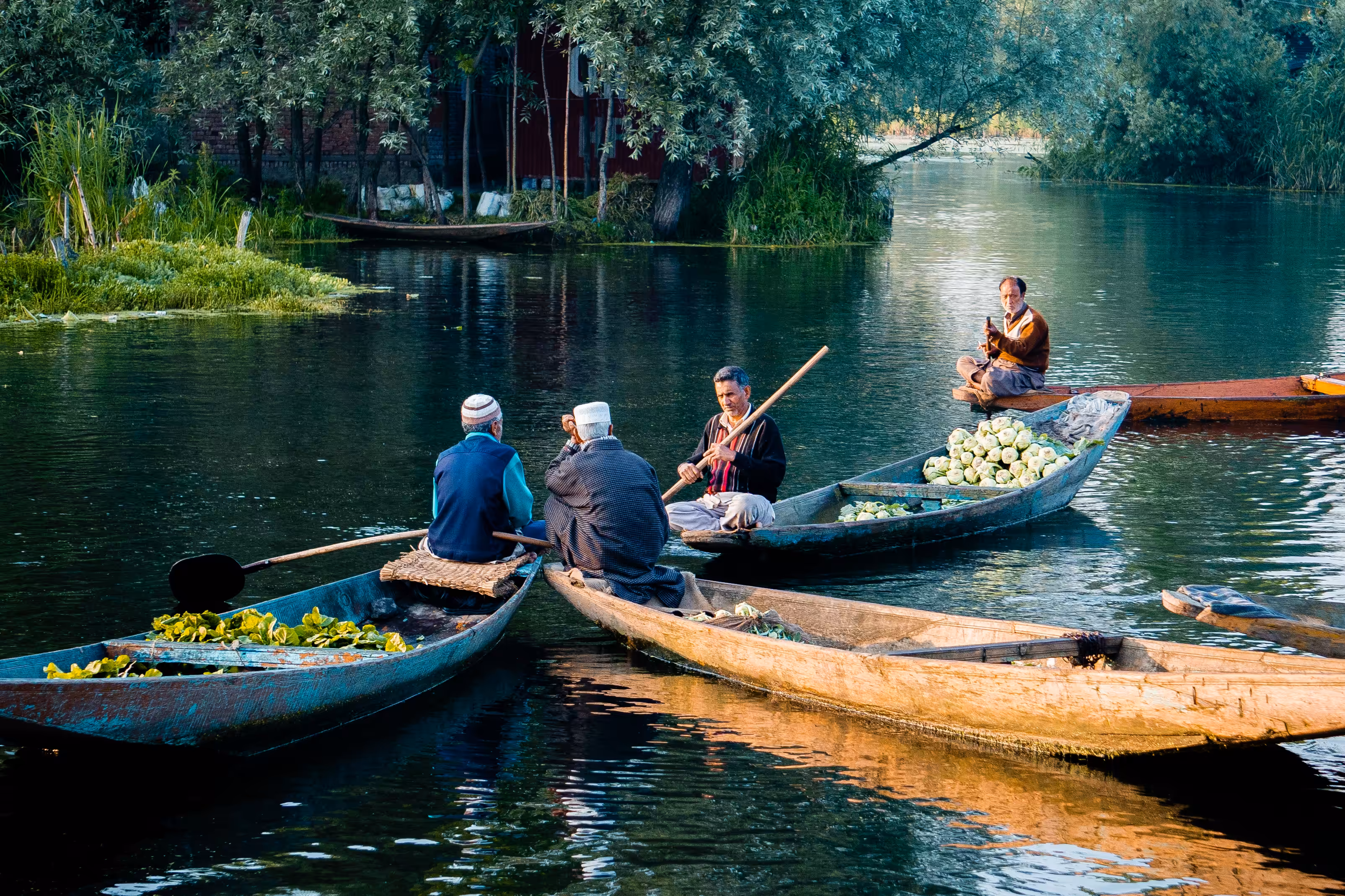 Shikaras of Kashmir # 4