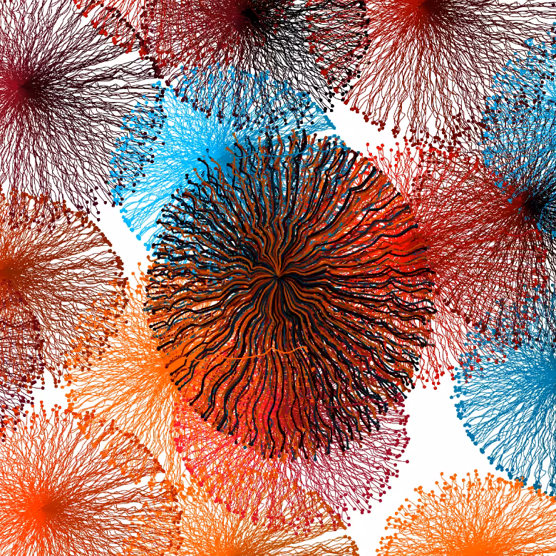 CircuWeb #29