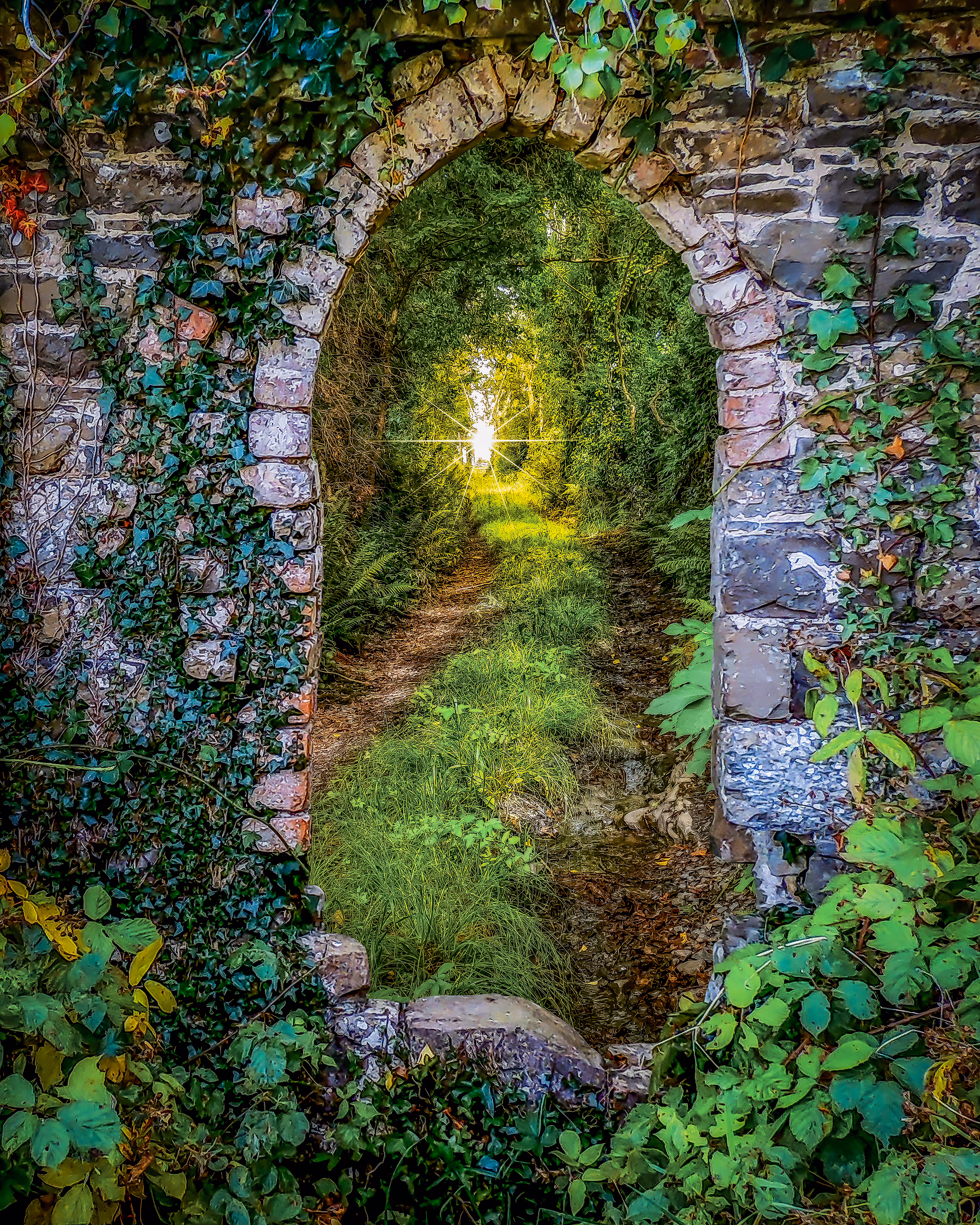 Tranquil Irish Path