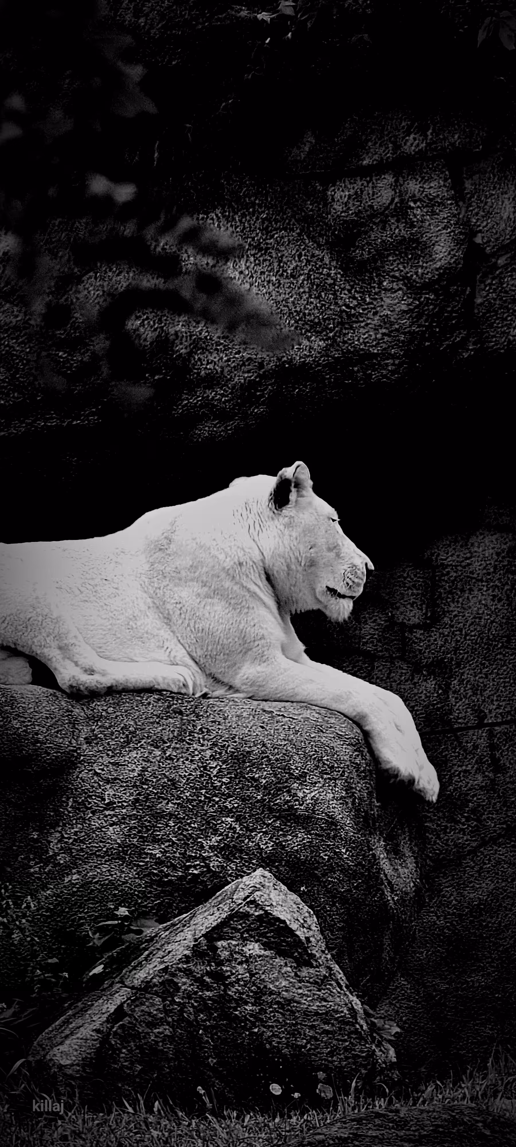 killaj photography art 