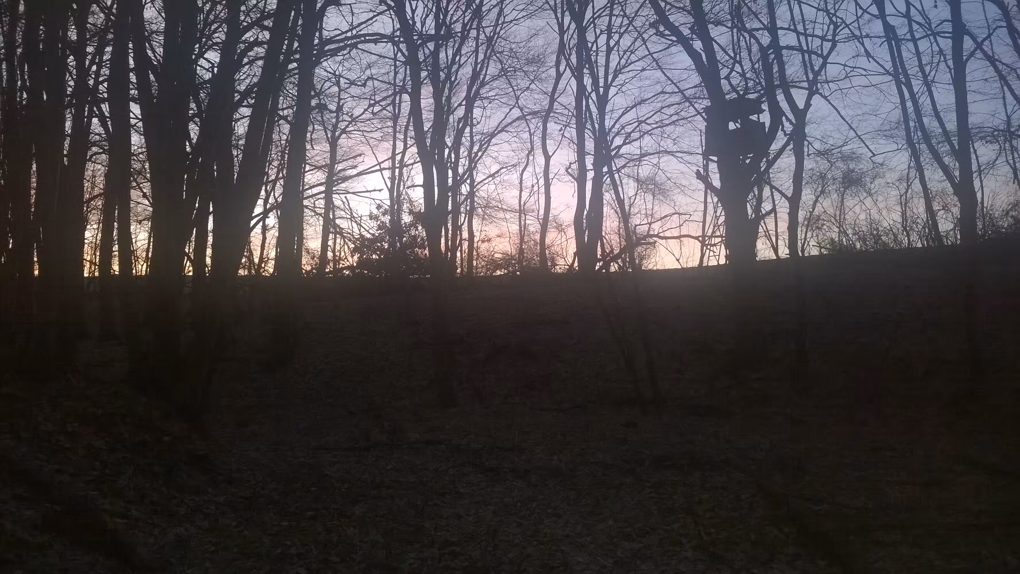 The Hunt