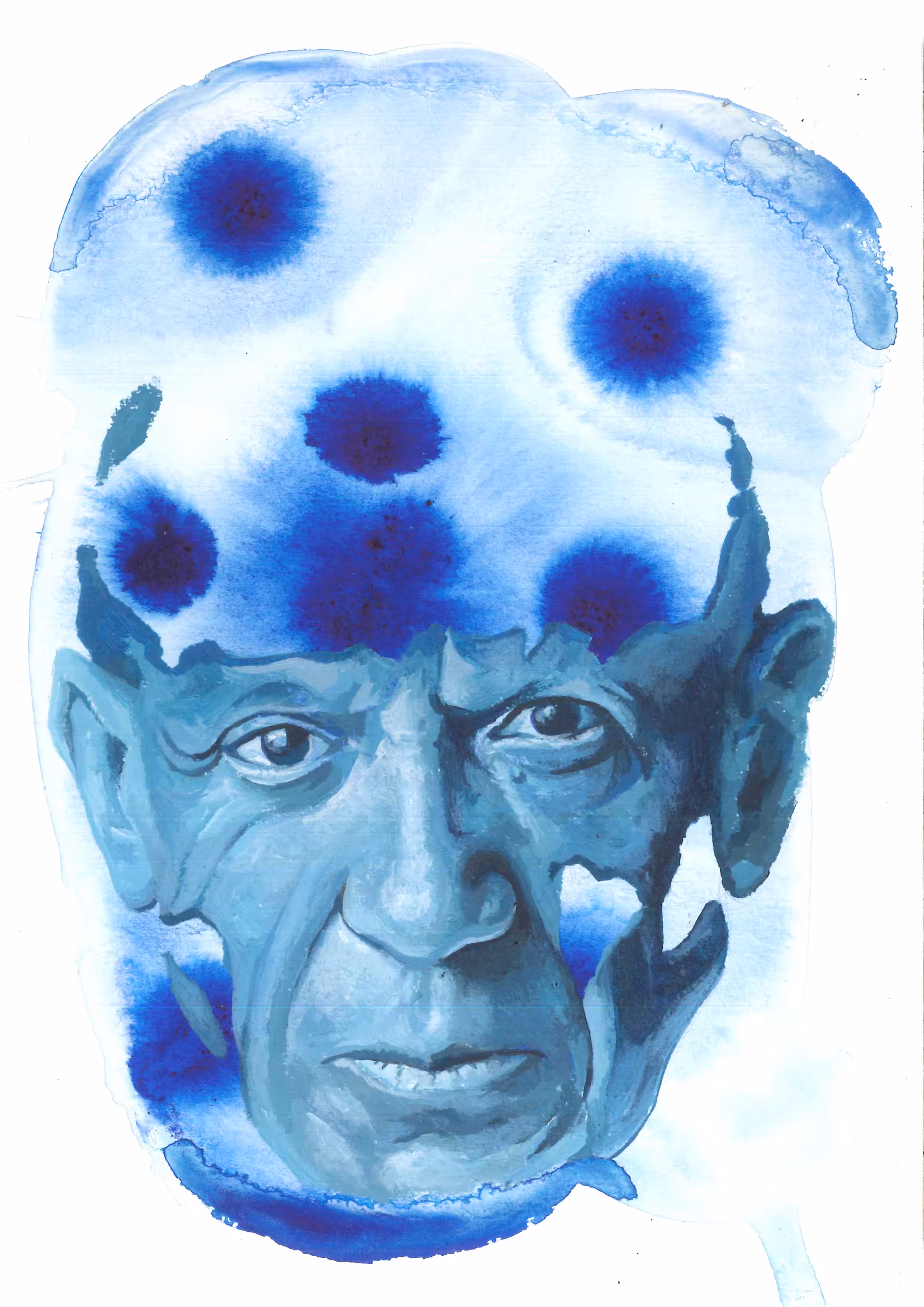 Picasso Imagination