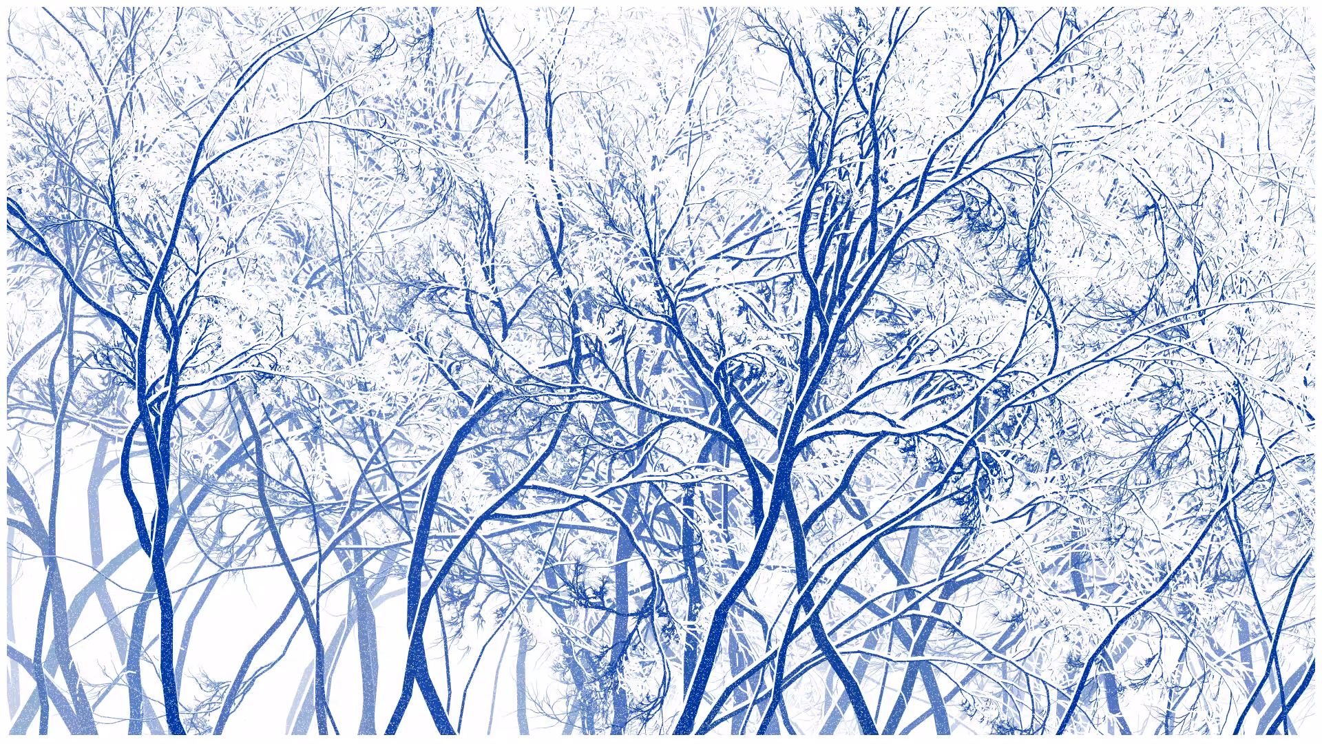 SCHNEEWALD #134