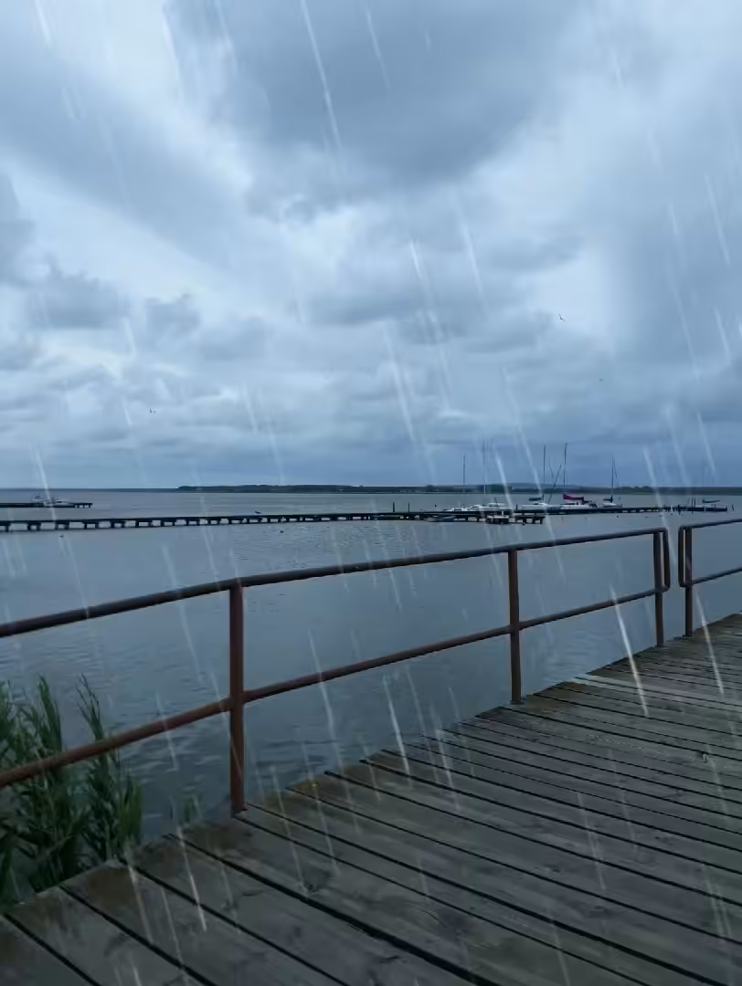 Rainy Day