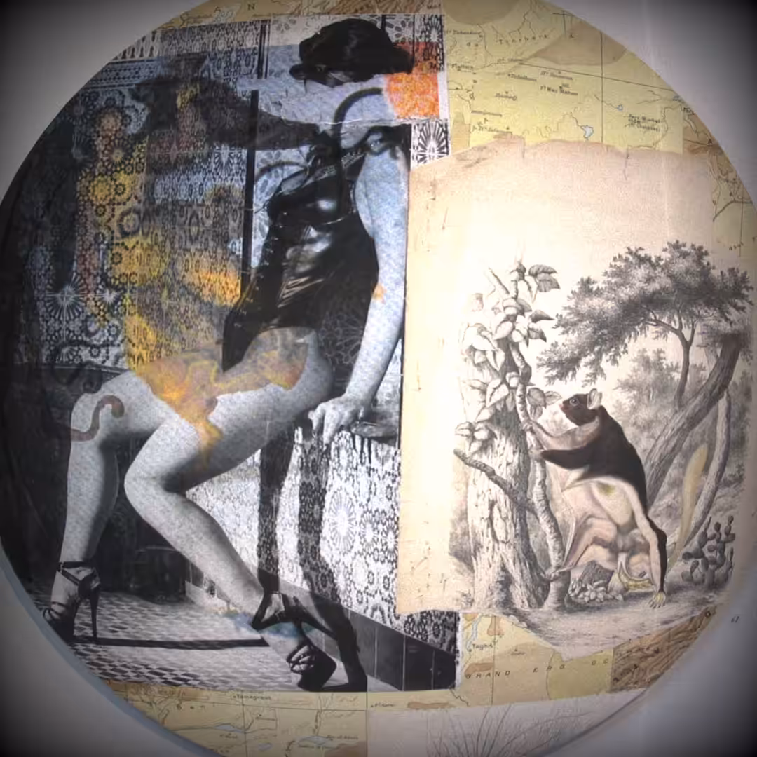 Paradise lost ,,,