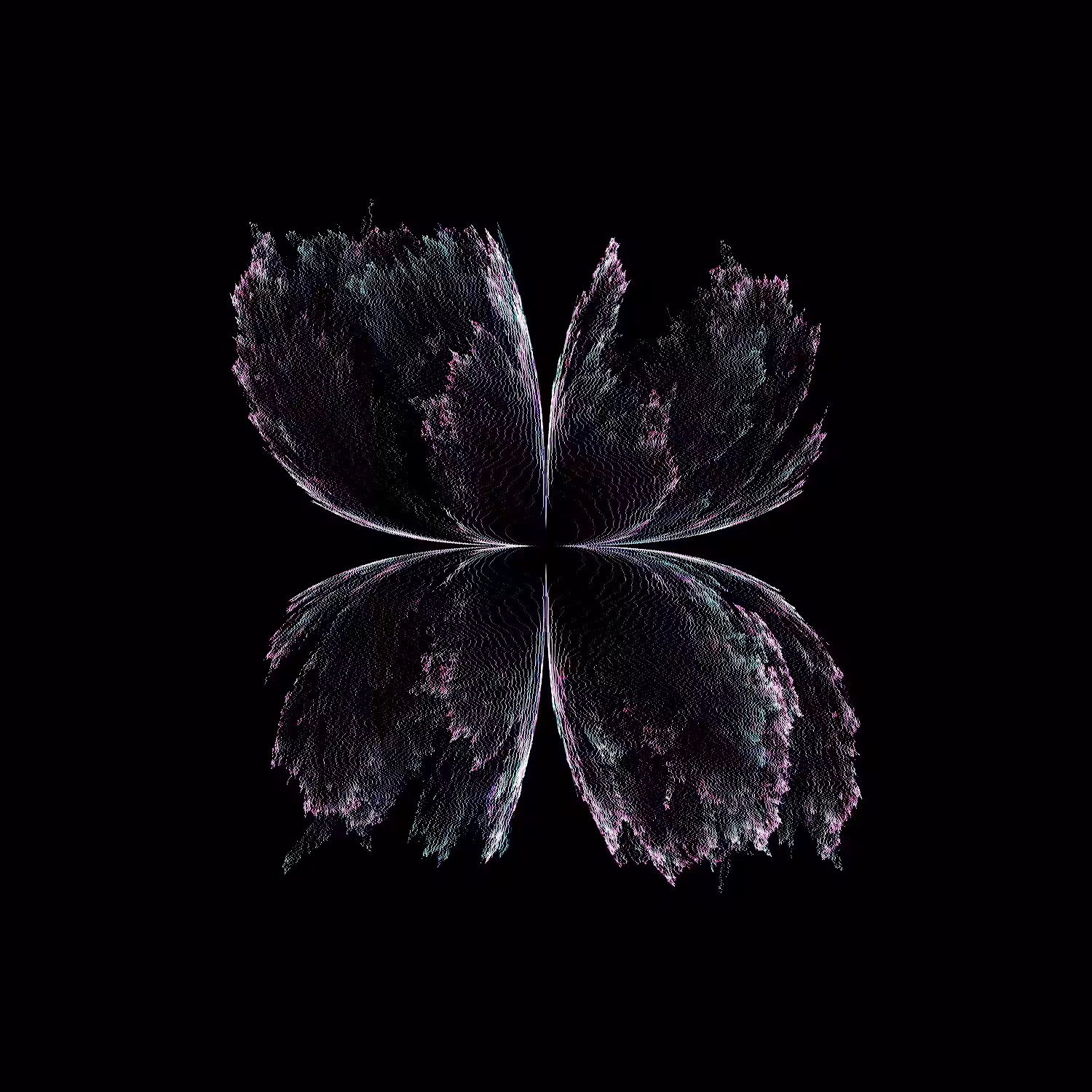Flutter #2