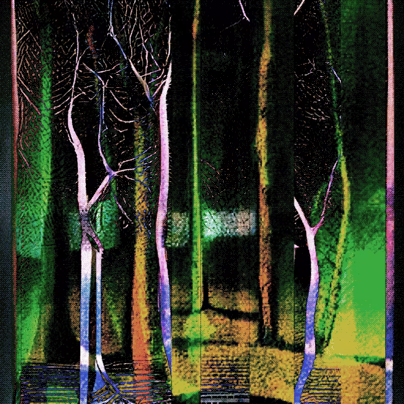 The Hum of Cyber Forest #211