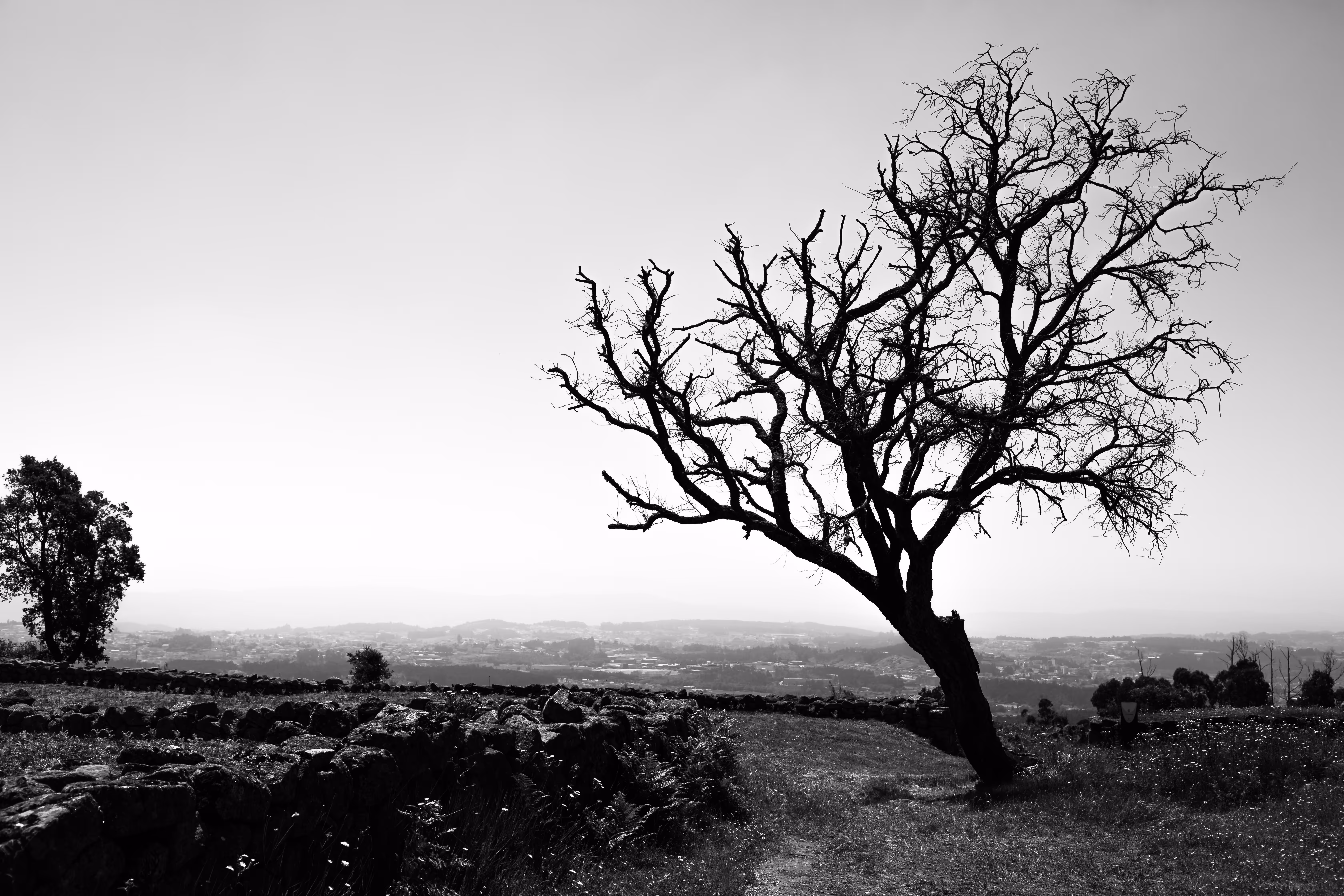 HUMANIZED LANDSCAPES #063