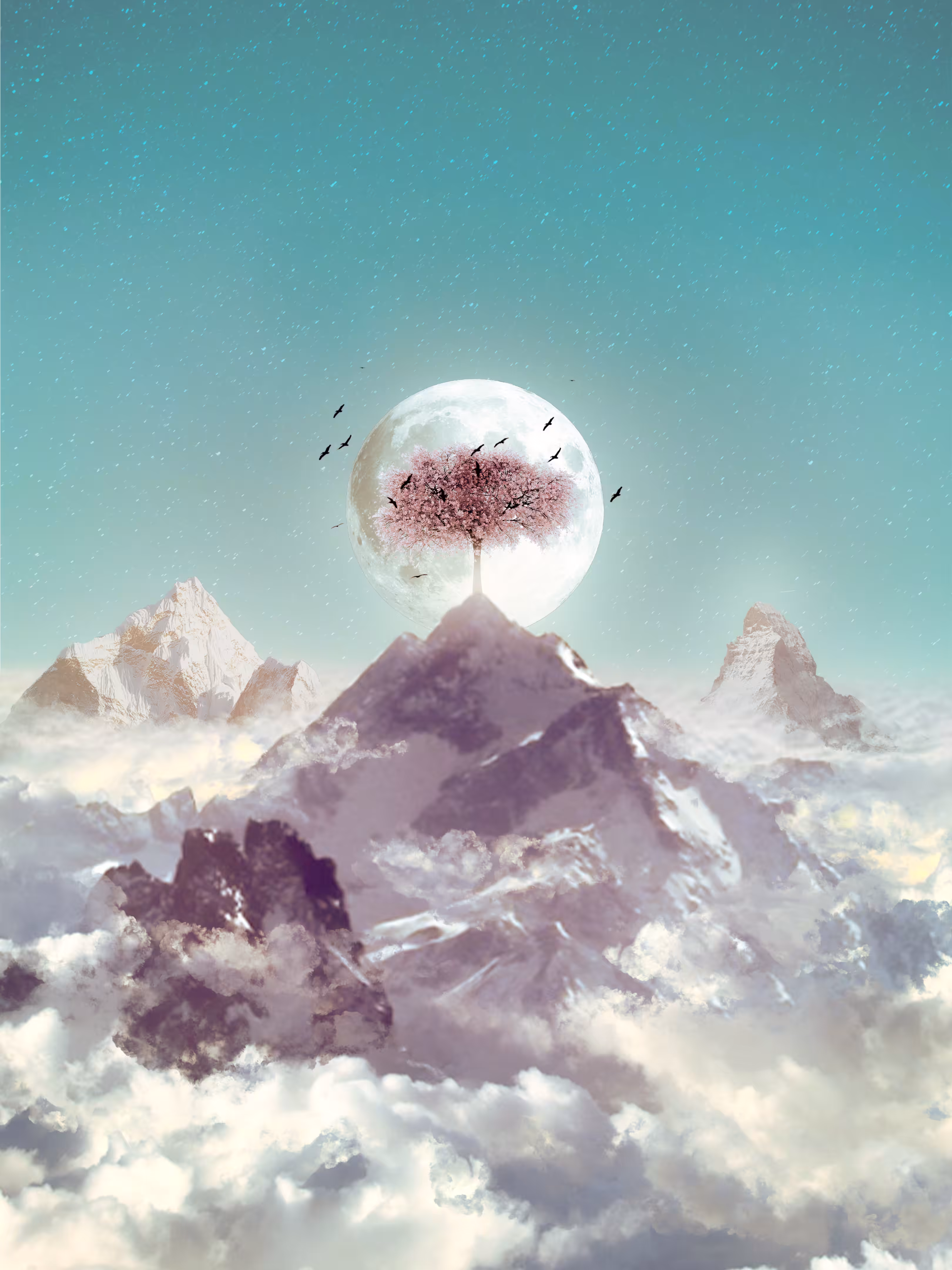 Moonlight