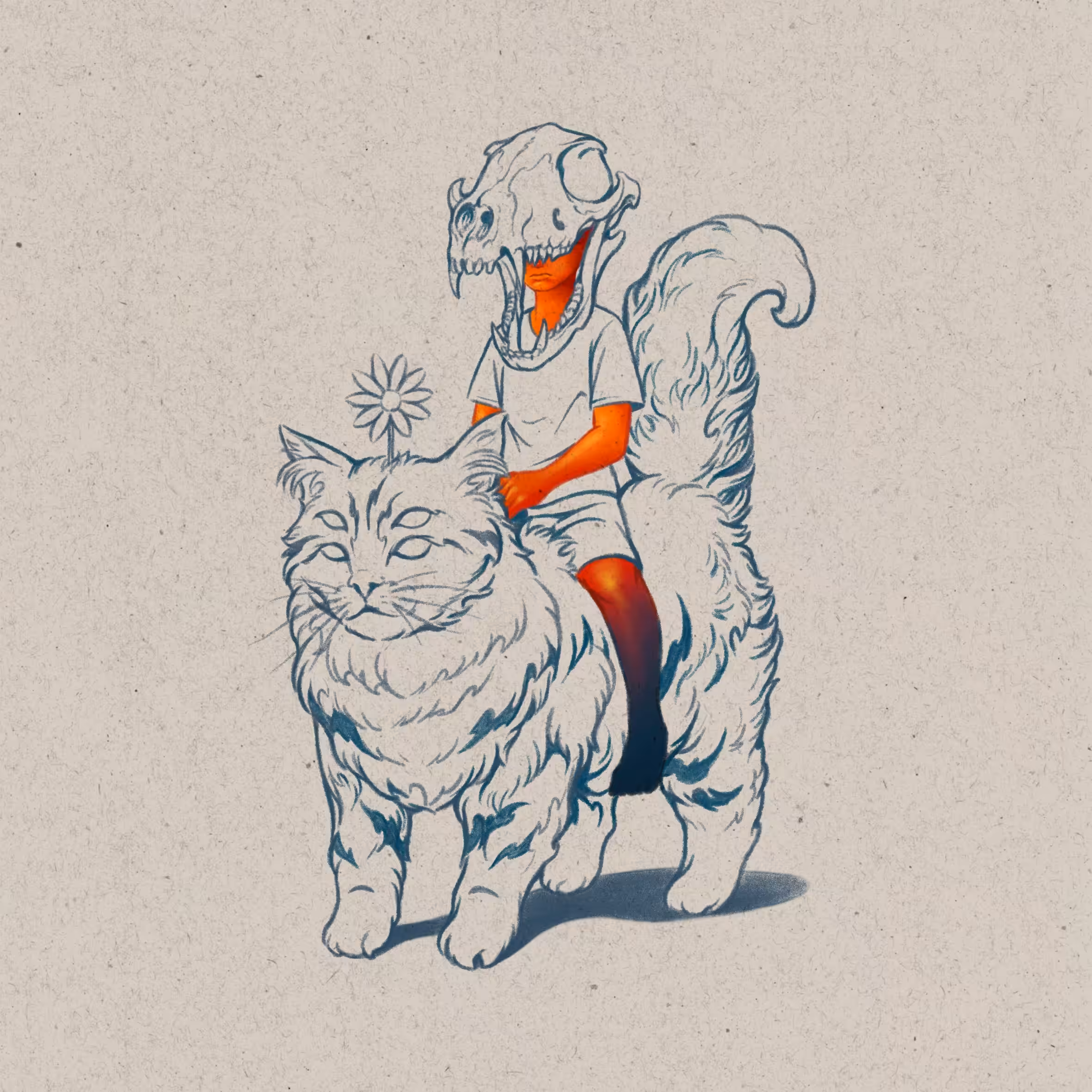 Lost Cat