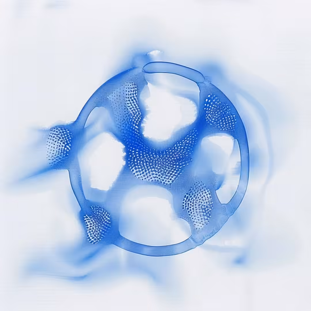 Rodeo posts: blue being (animation)