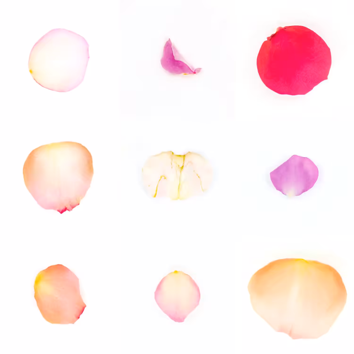 Infinite Petals 3x3#3324