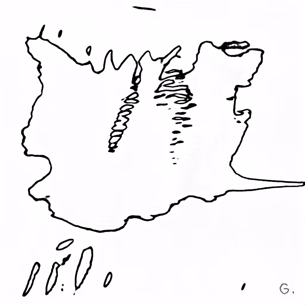 J48BAFORMS: J48BAFORM #2901